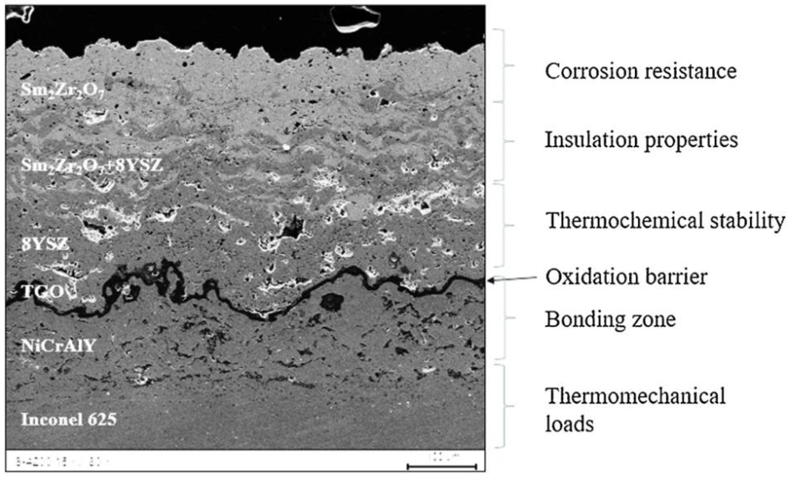 Coatings 12 01318 g011 550