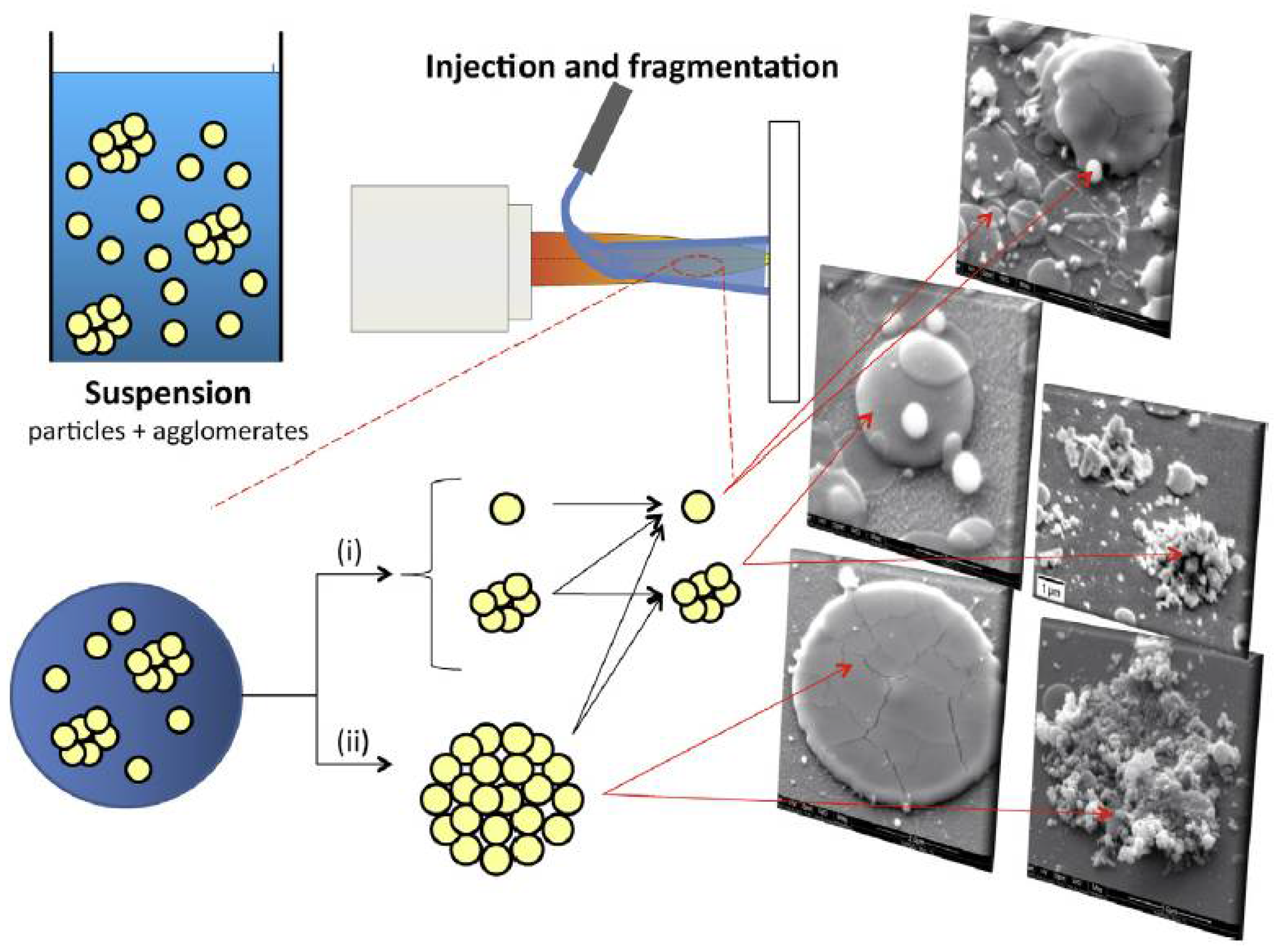 Coatings 12 01318 g013 550