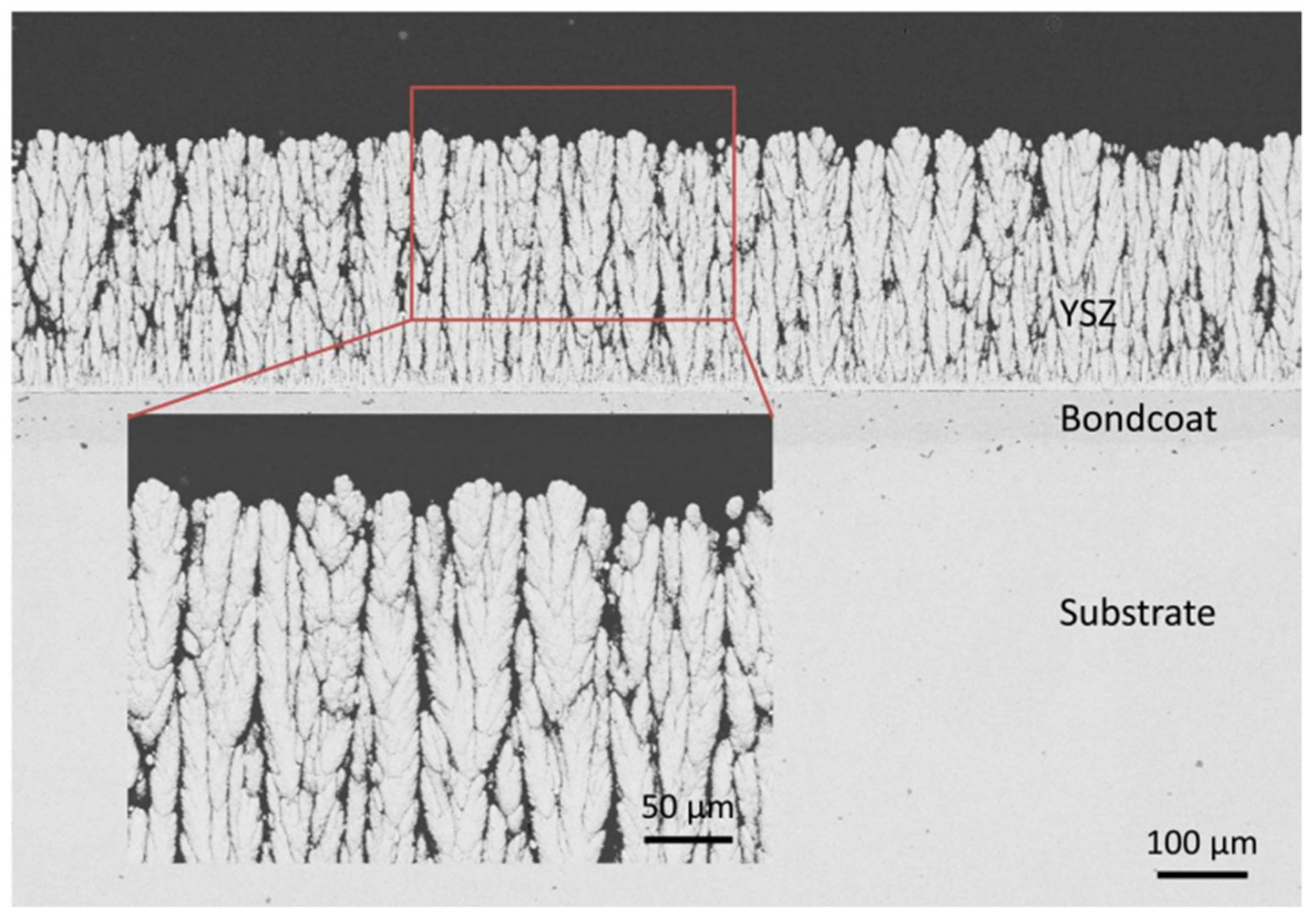 Coatings 12 01318 g016 550