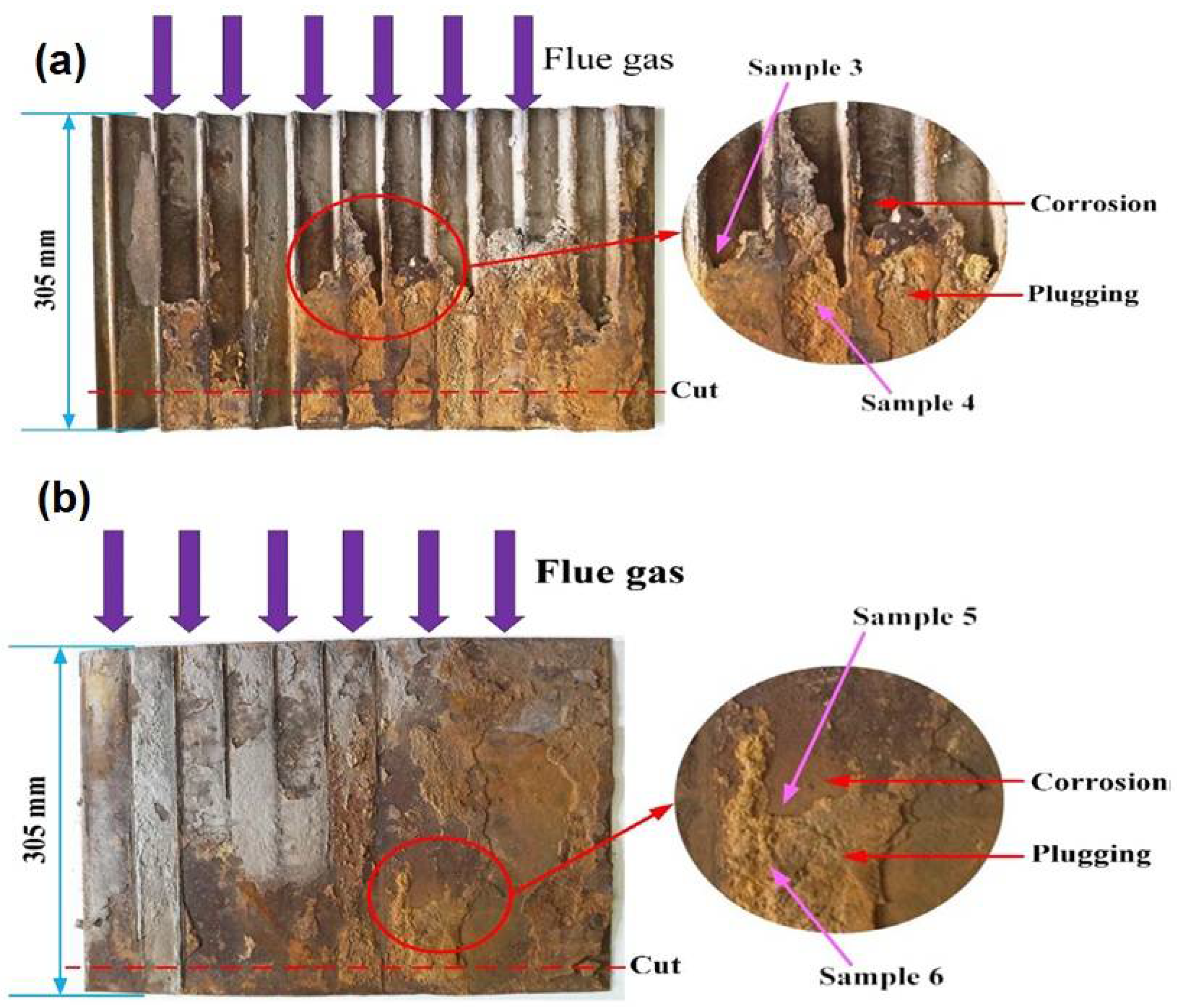 Coatings 12 01318 g018 550