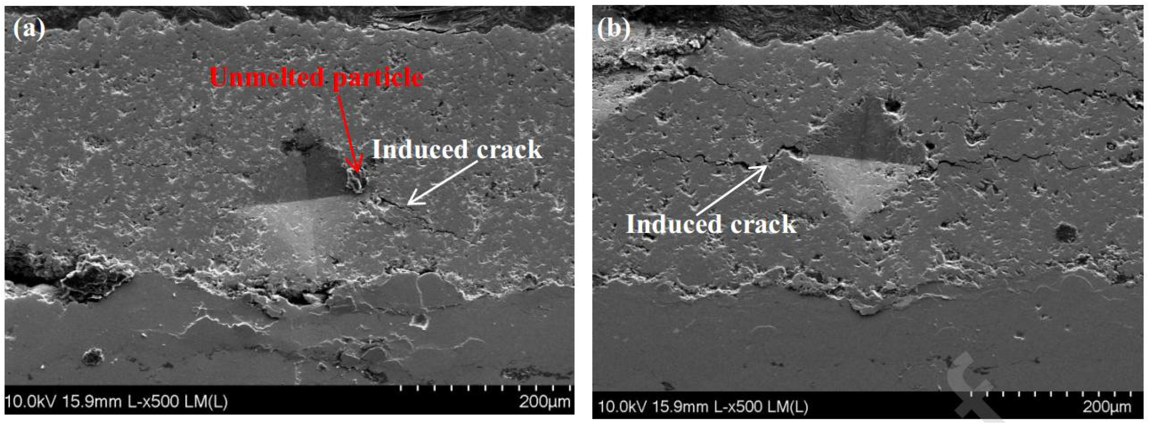 Coatings 12 01318 g023 550