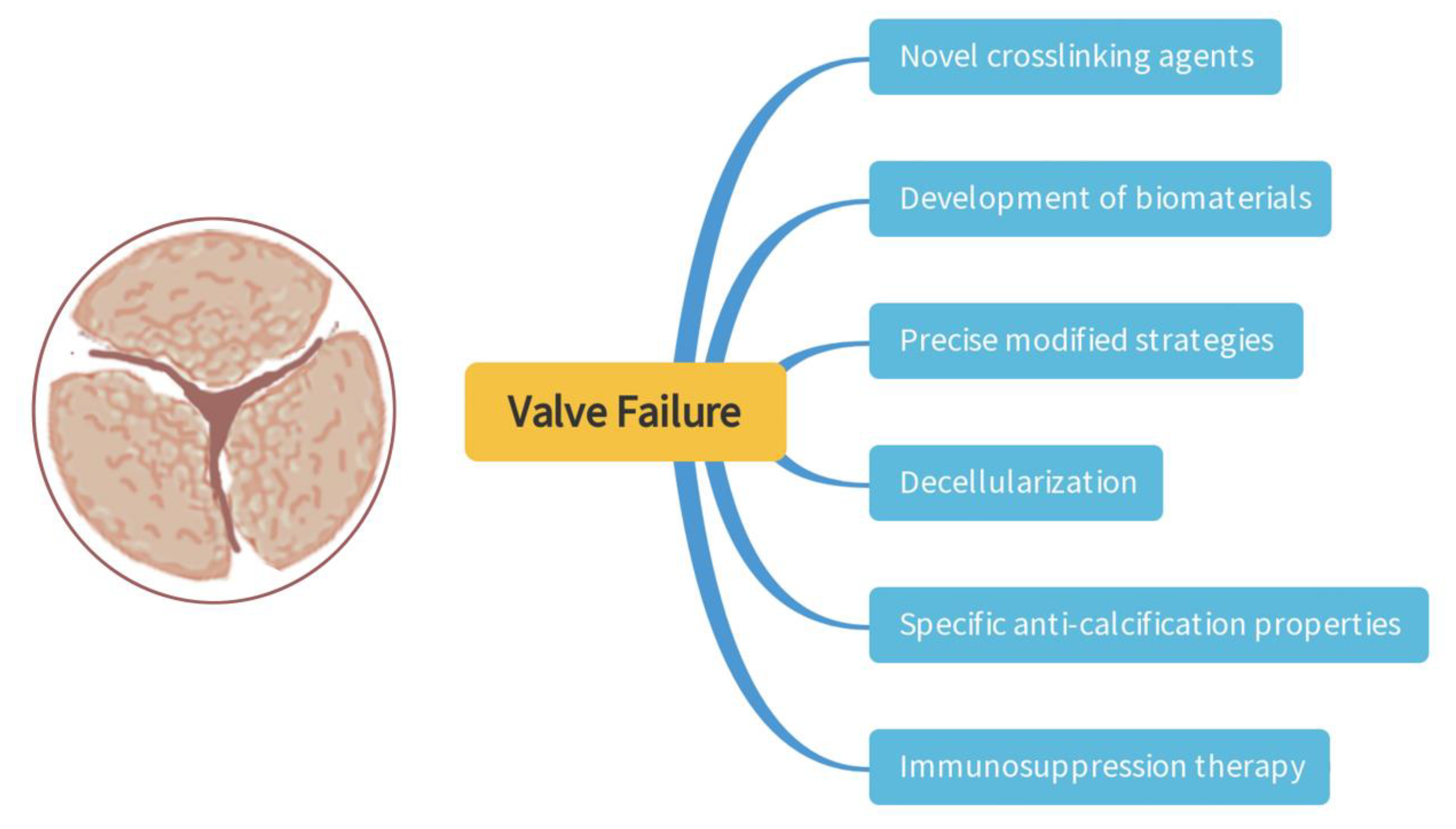 Coatings 12 01322 g005 Coatings 12 01322 g005