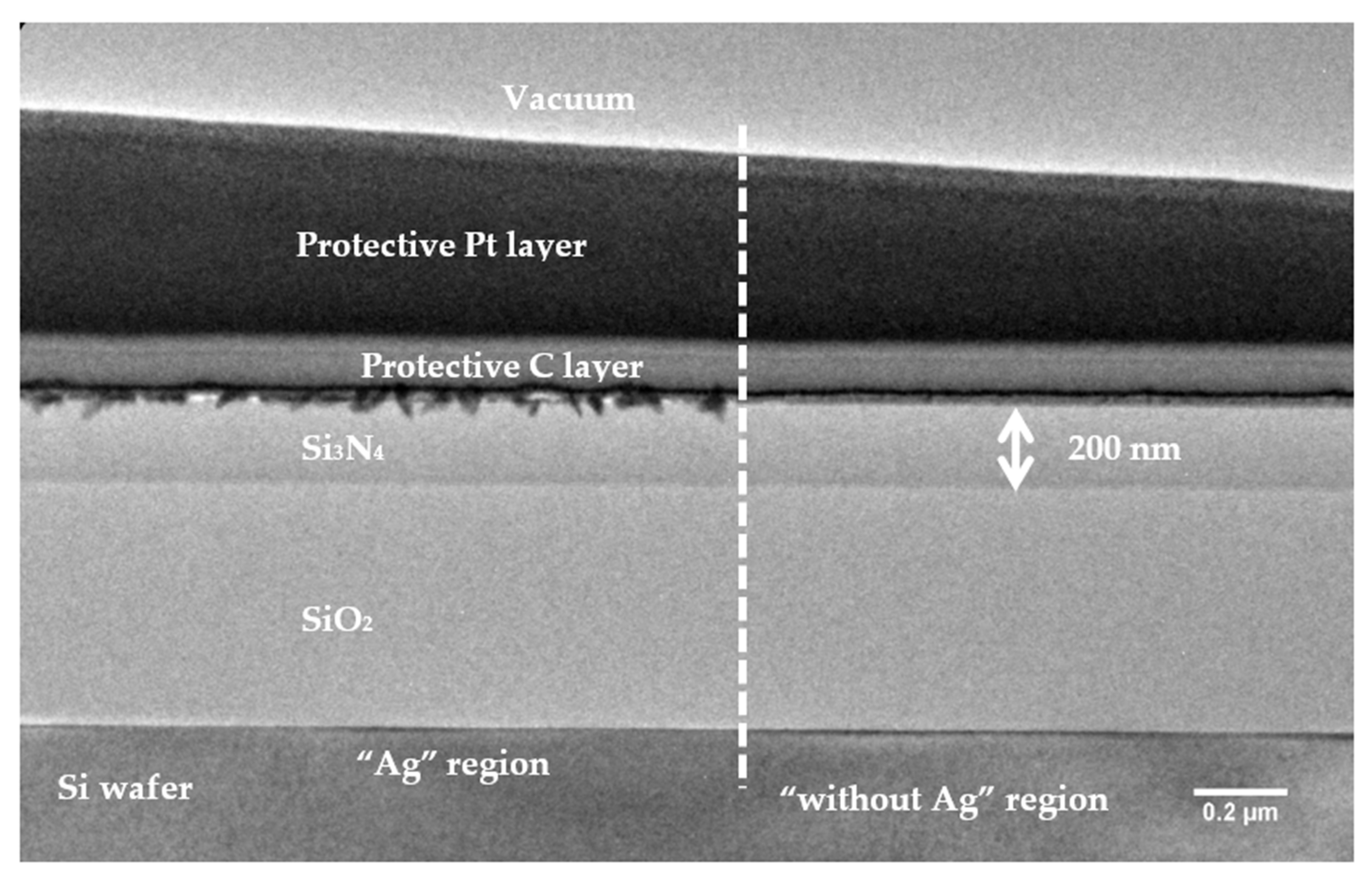 Coatings 12 01324 g007 550