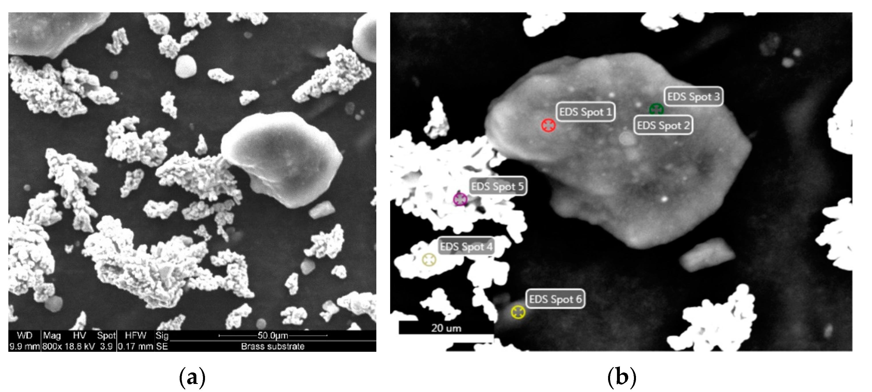 Coatings 12 01332 g008 550