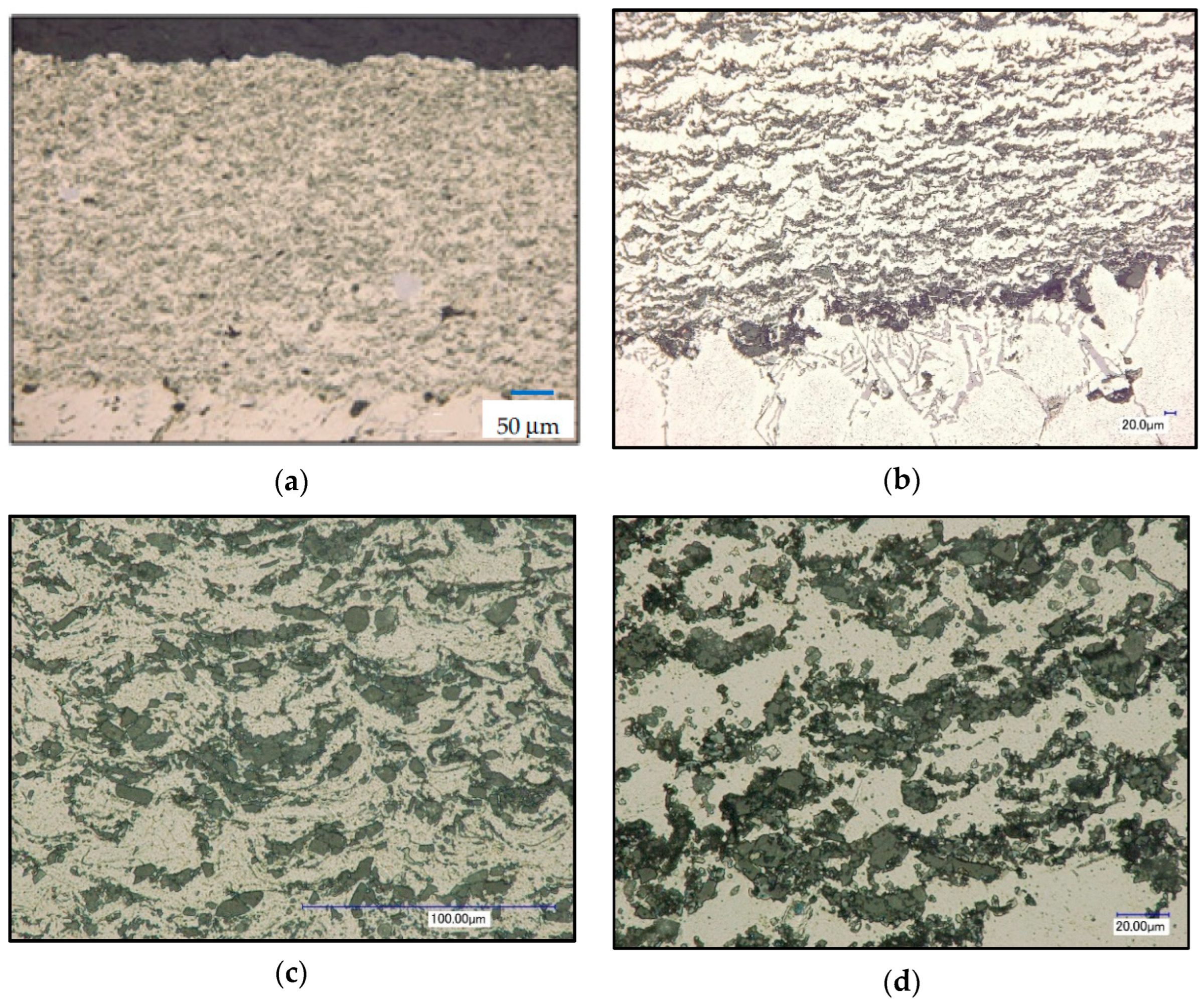 Coatings 12 01332 g012 550