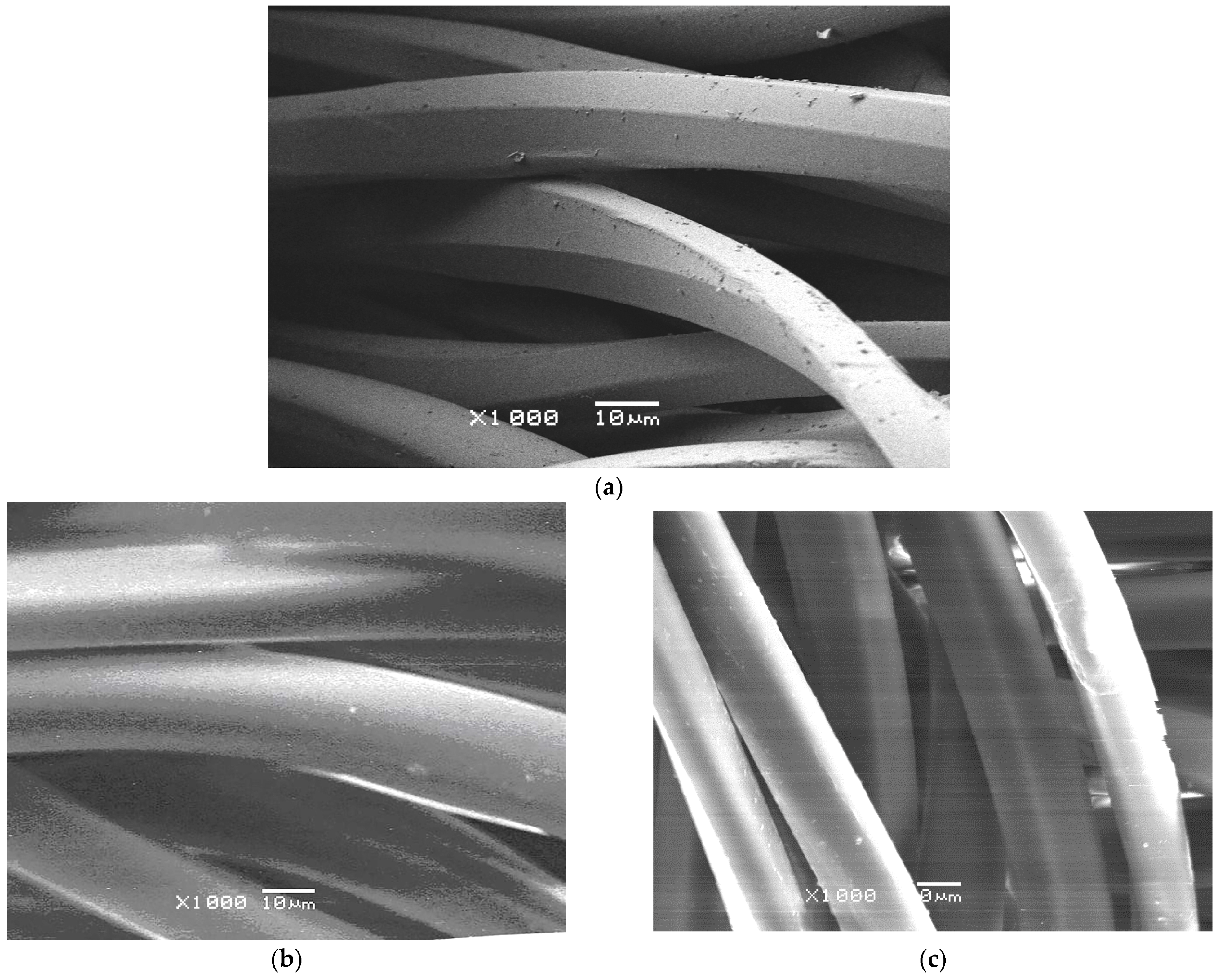 Coatings 12 01334 g002