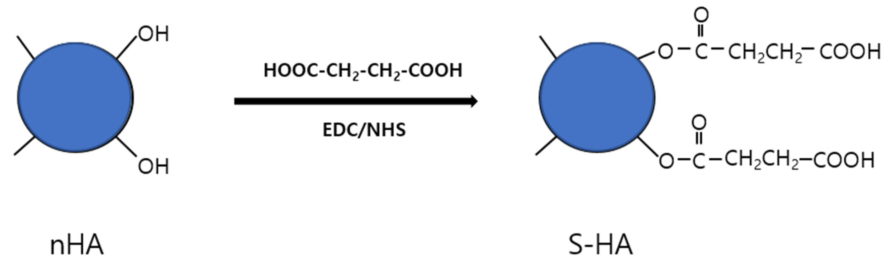Coatings 12 01335 g001