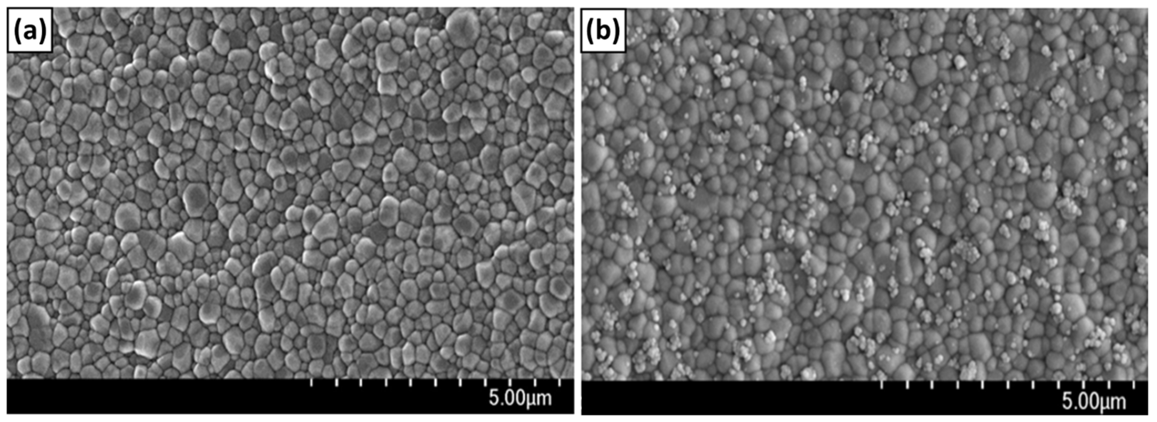 Coatings 12 01335 g005