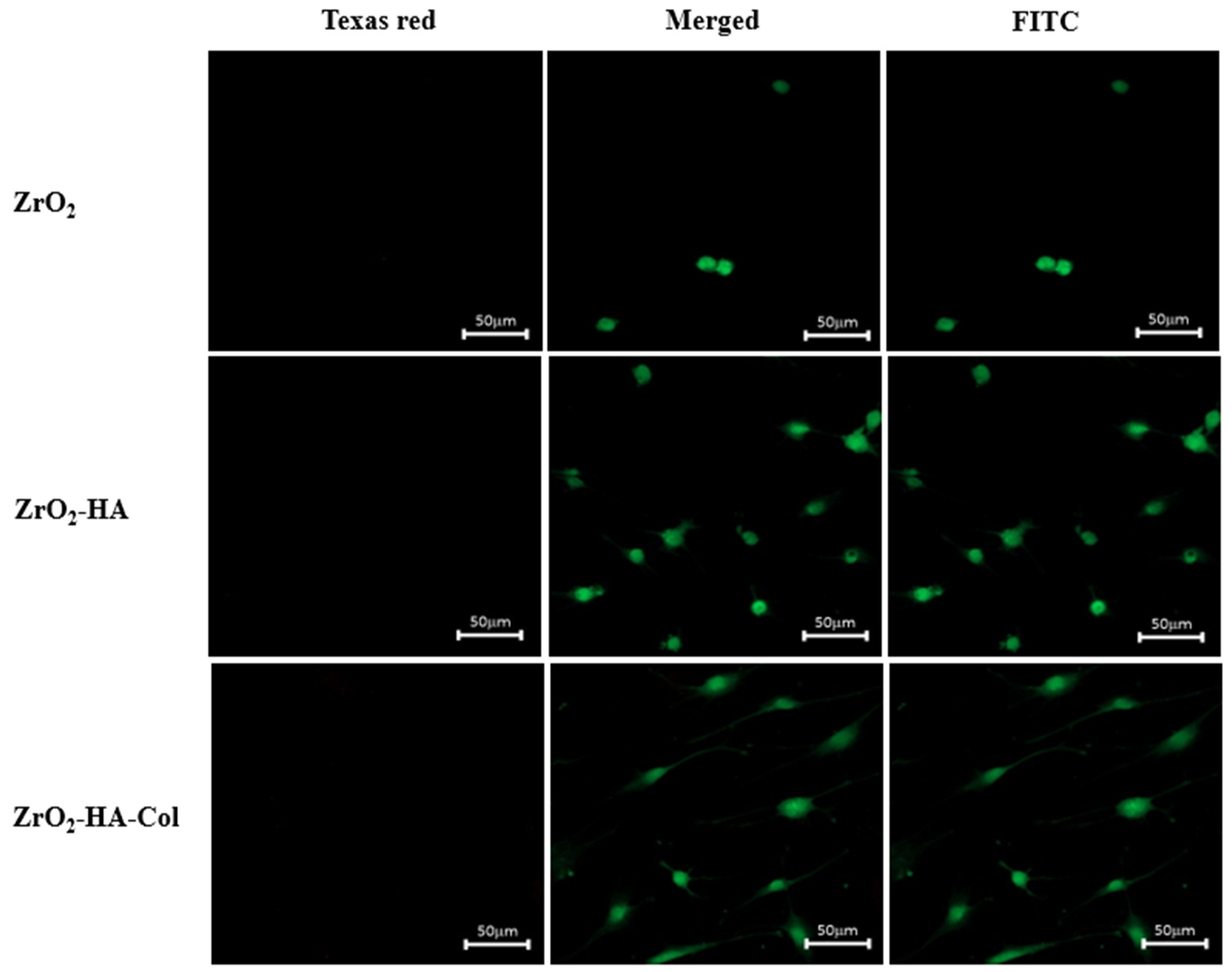 Coatings 12 01335 g008