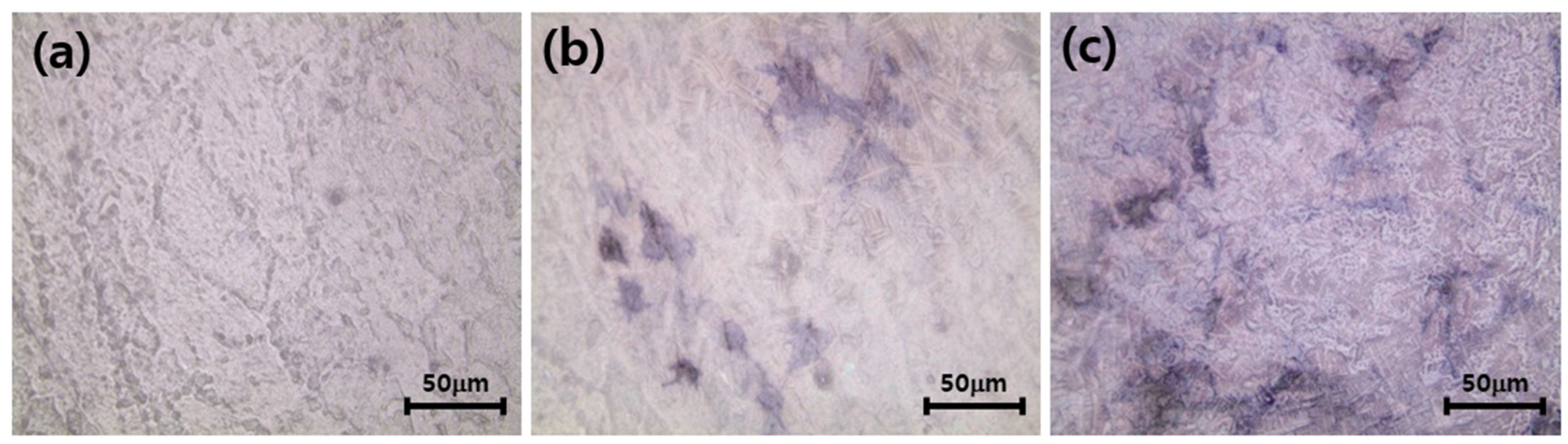 Coatings 12 01335 g011