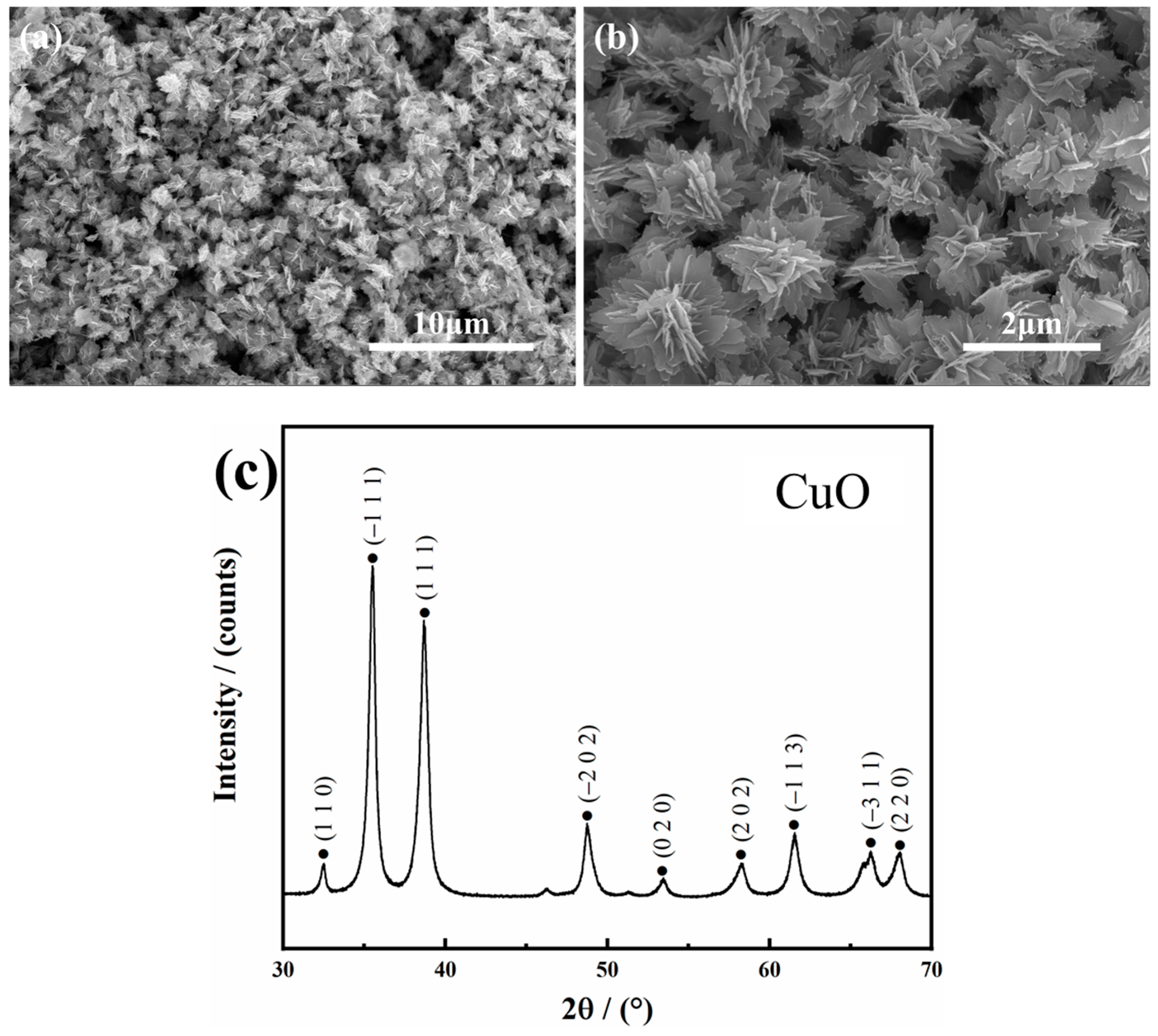 Coatings 12 01336 g003 550