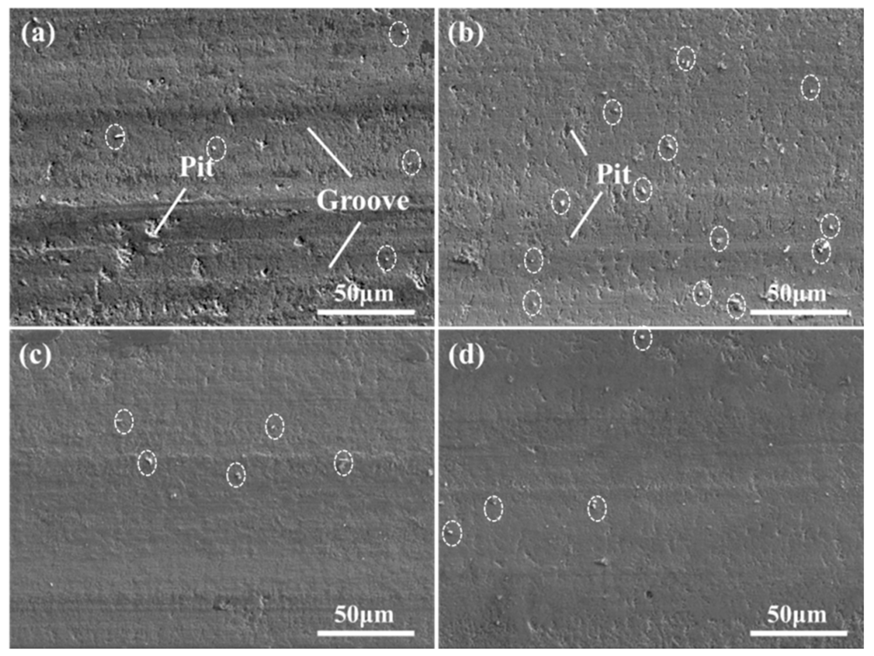 Coatings 12 01336 g010 550