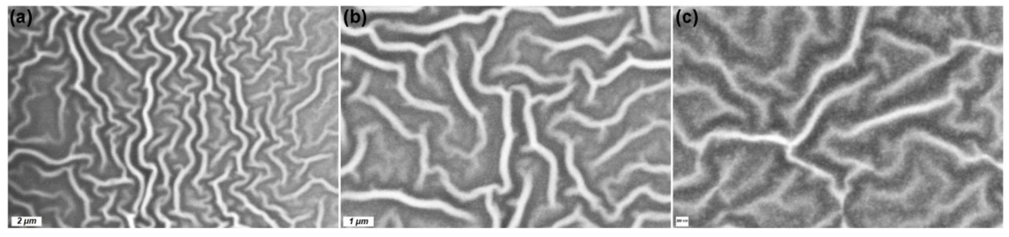 Coatings 12 01340 g001