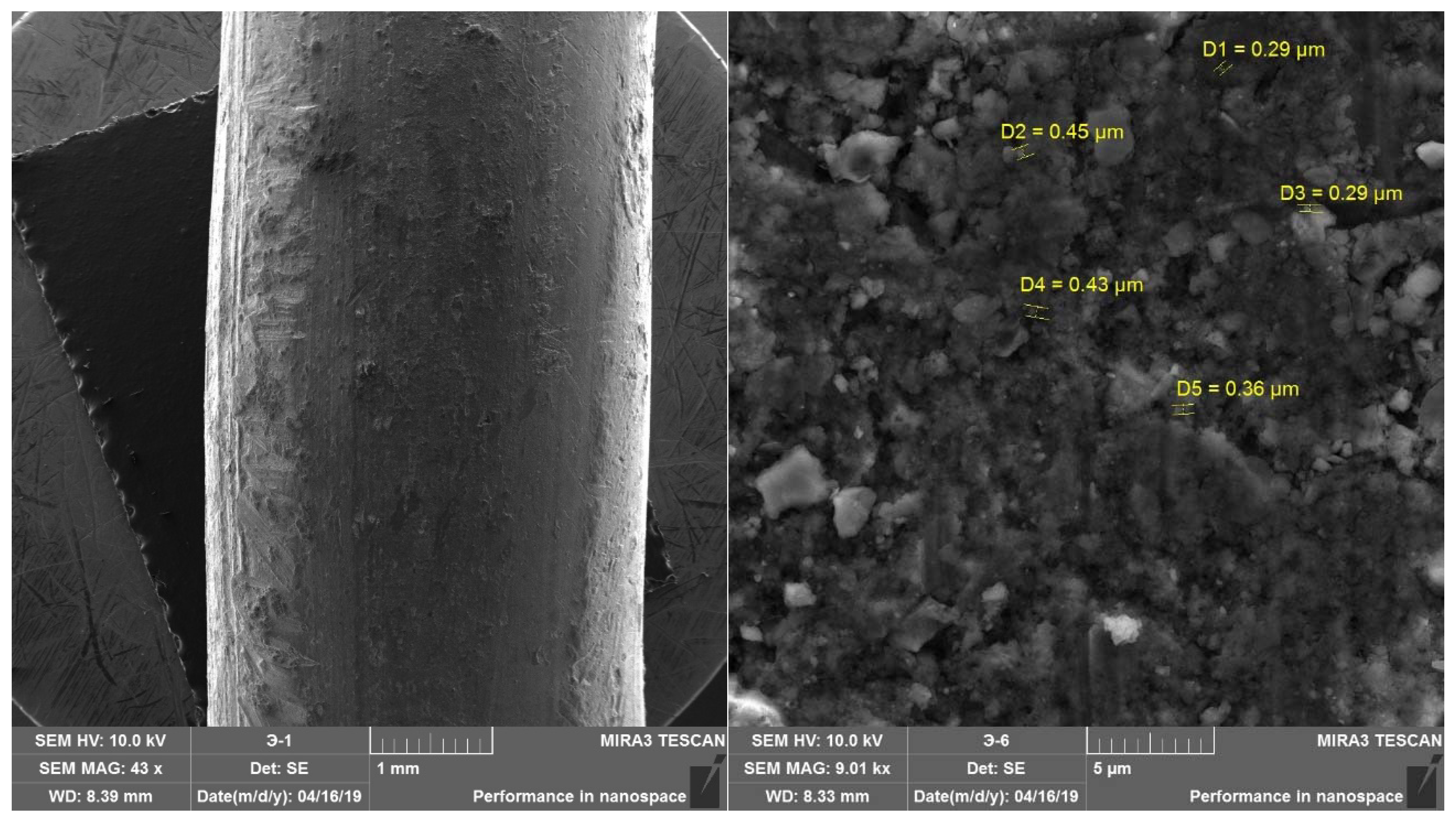 Coatings 12 01346 g010 550
