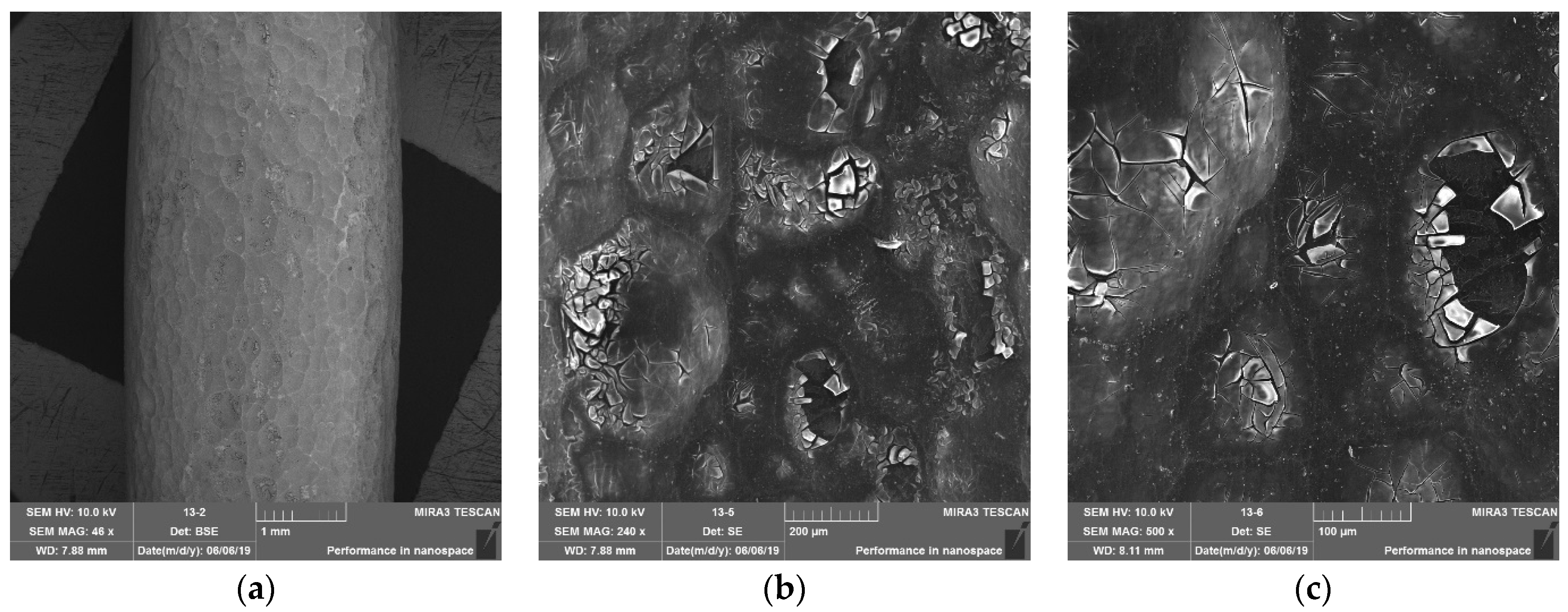 Coatings 12 01346 g012 550