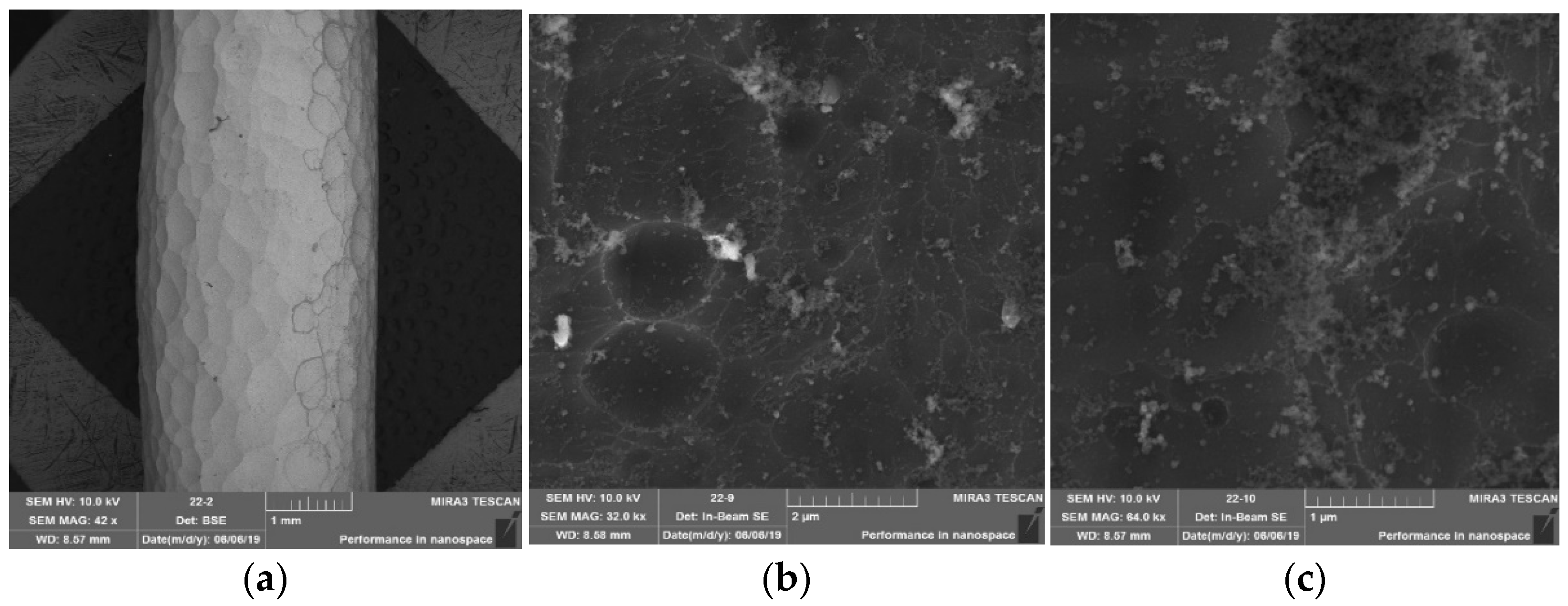 Coatings 12 01346 g014 550