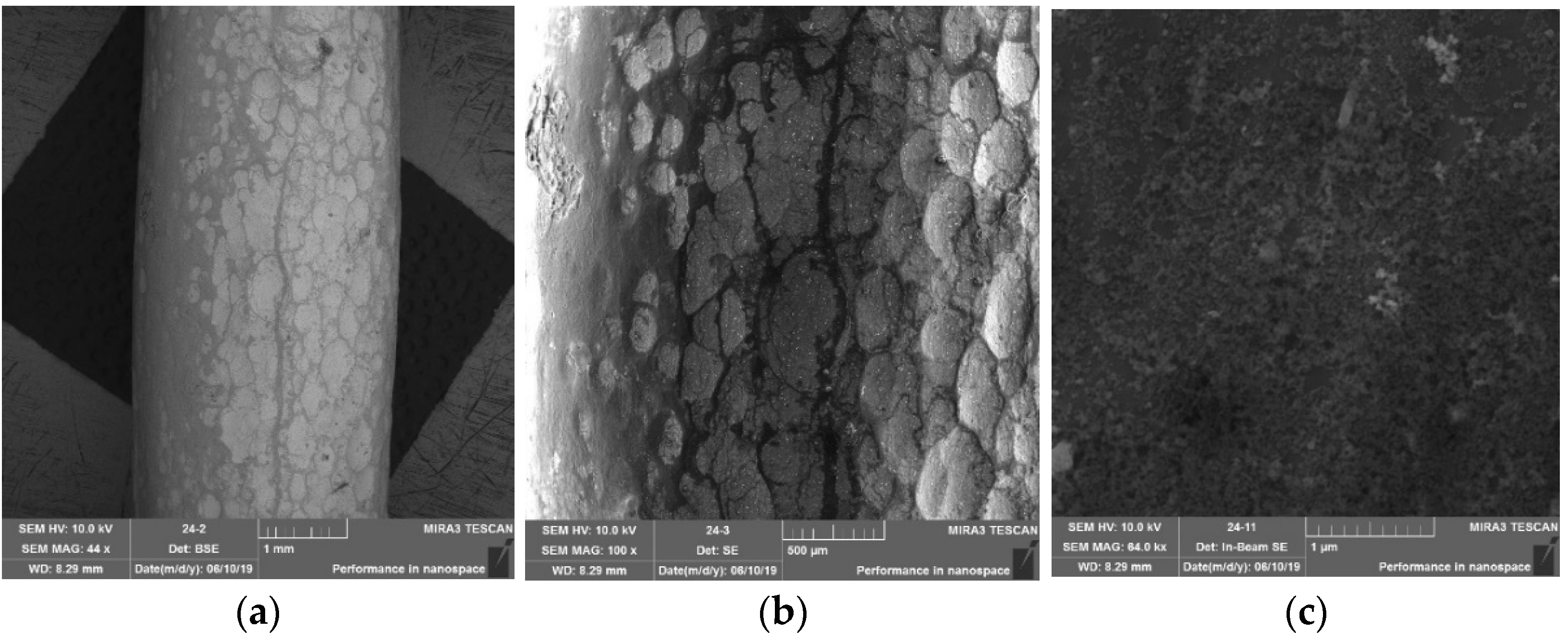 Coatings 12 01346 g015 550