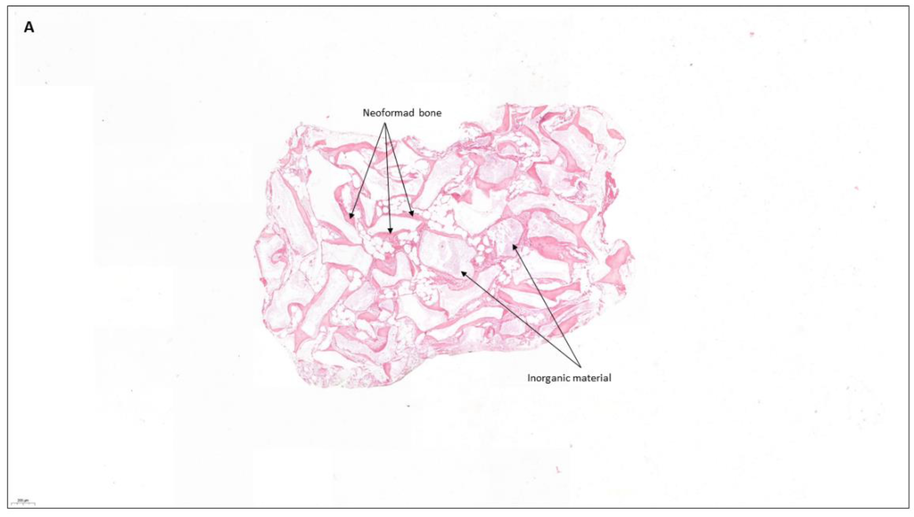 Coatings 12 01350 g008a Coatings 12 01350 g008a