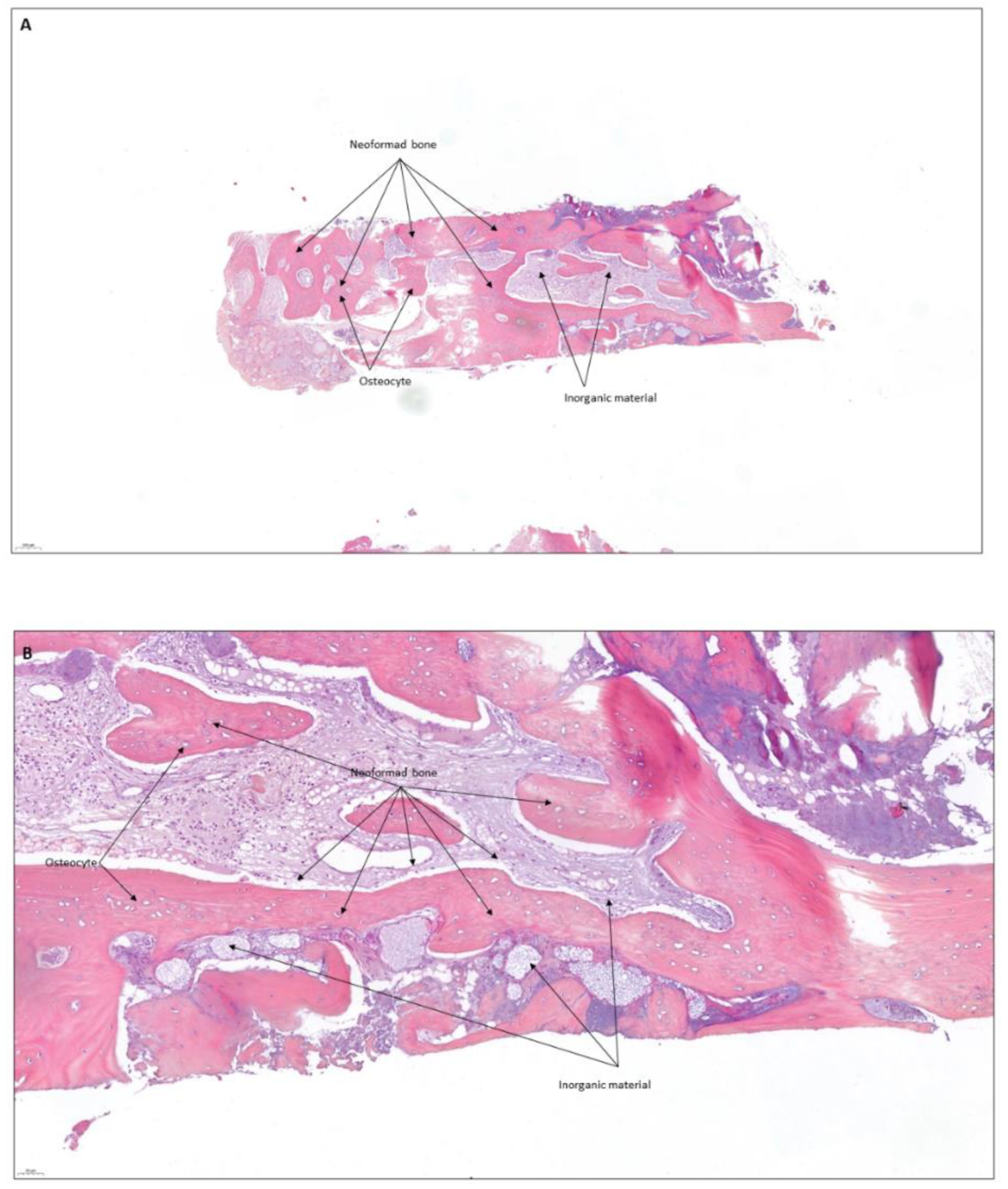 Coatings 12 01350 g012 Coatings 12 01350 g012