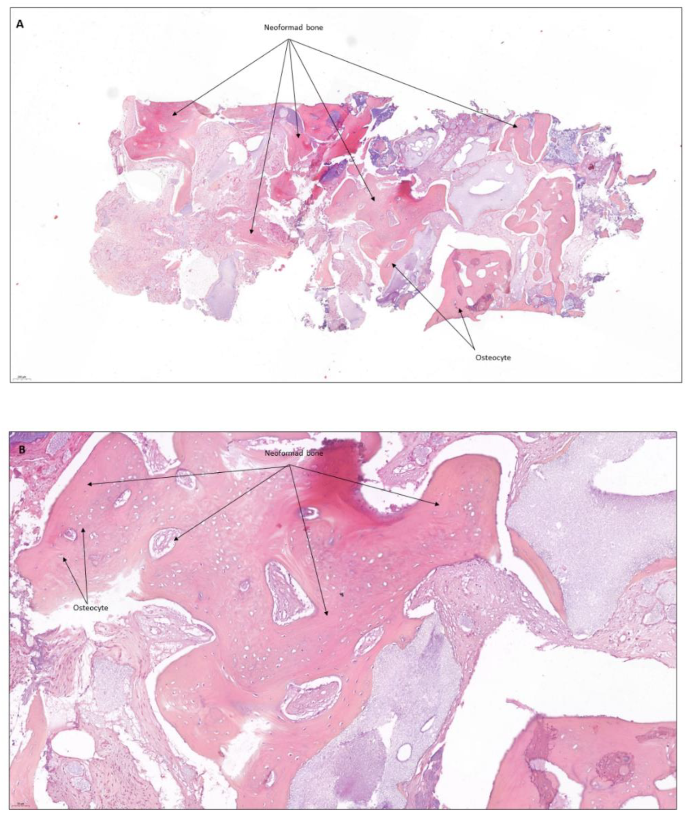 Coatings 12 01350 g020 Coatings 12 01350 g020