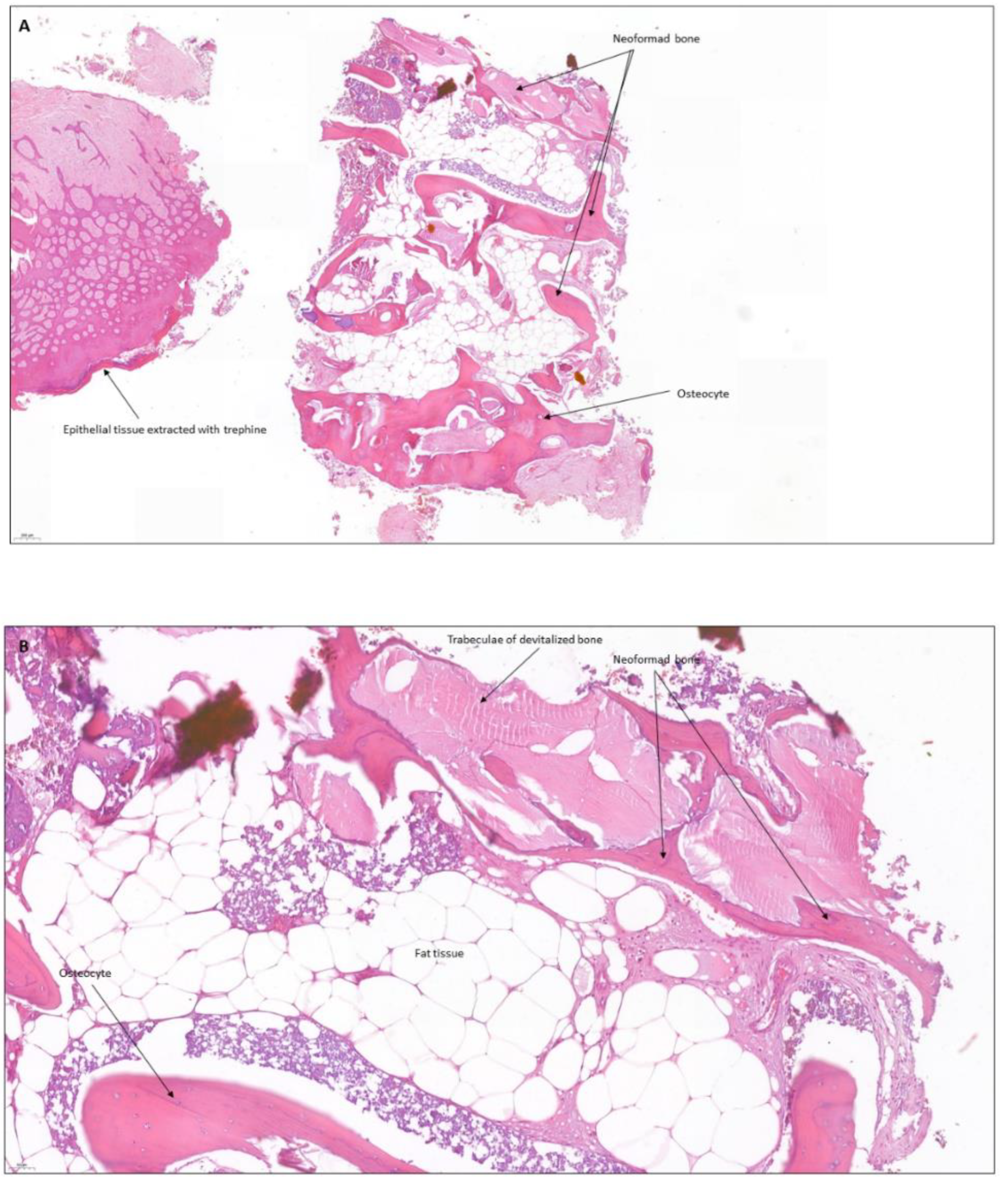 Coatings 12 01350 g023a Coatings 12 01350 g023a
