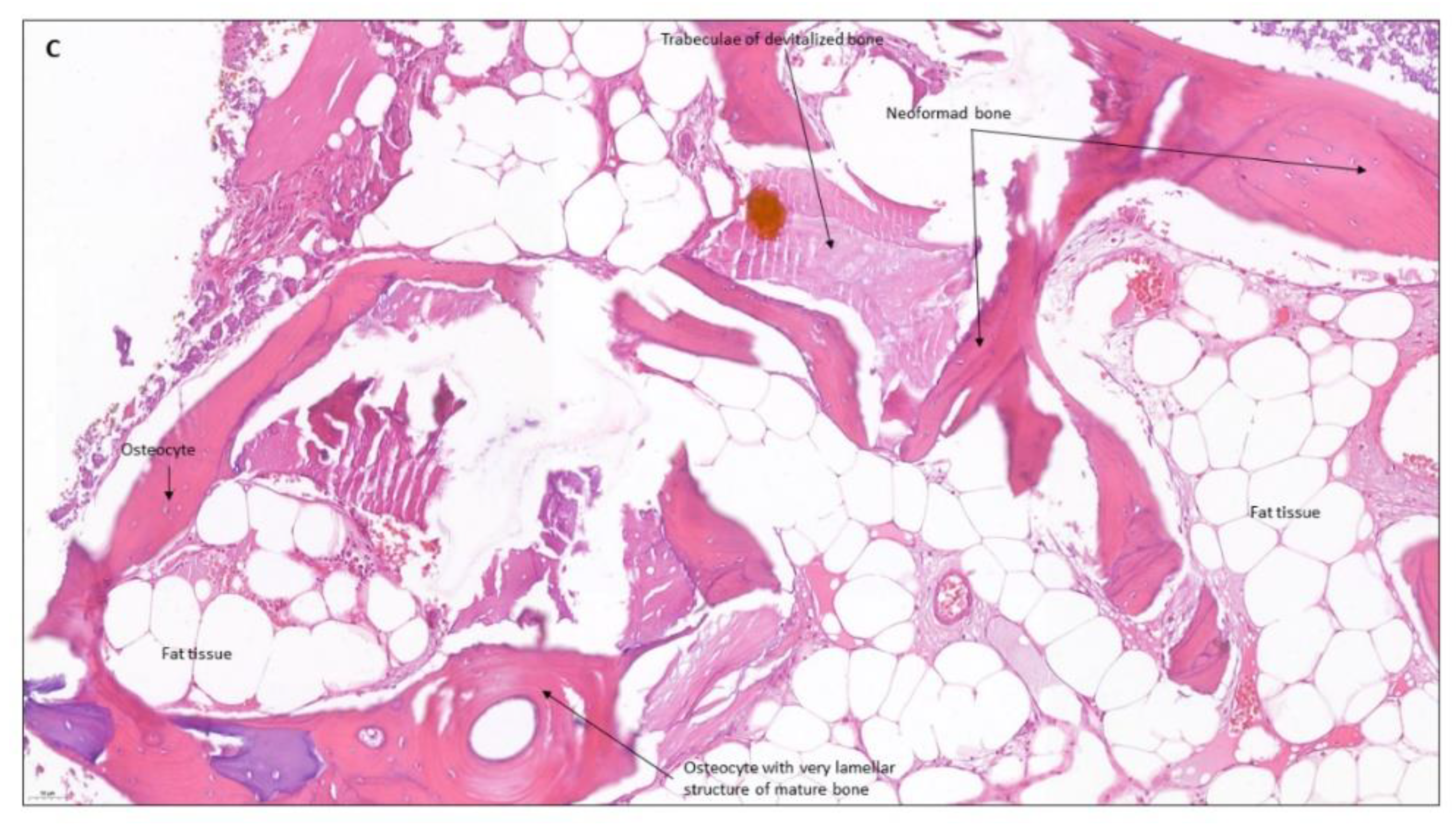 Coatings 12 01350 g023b Coatings 12 01350 g023b