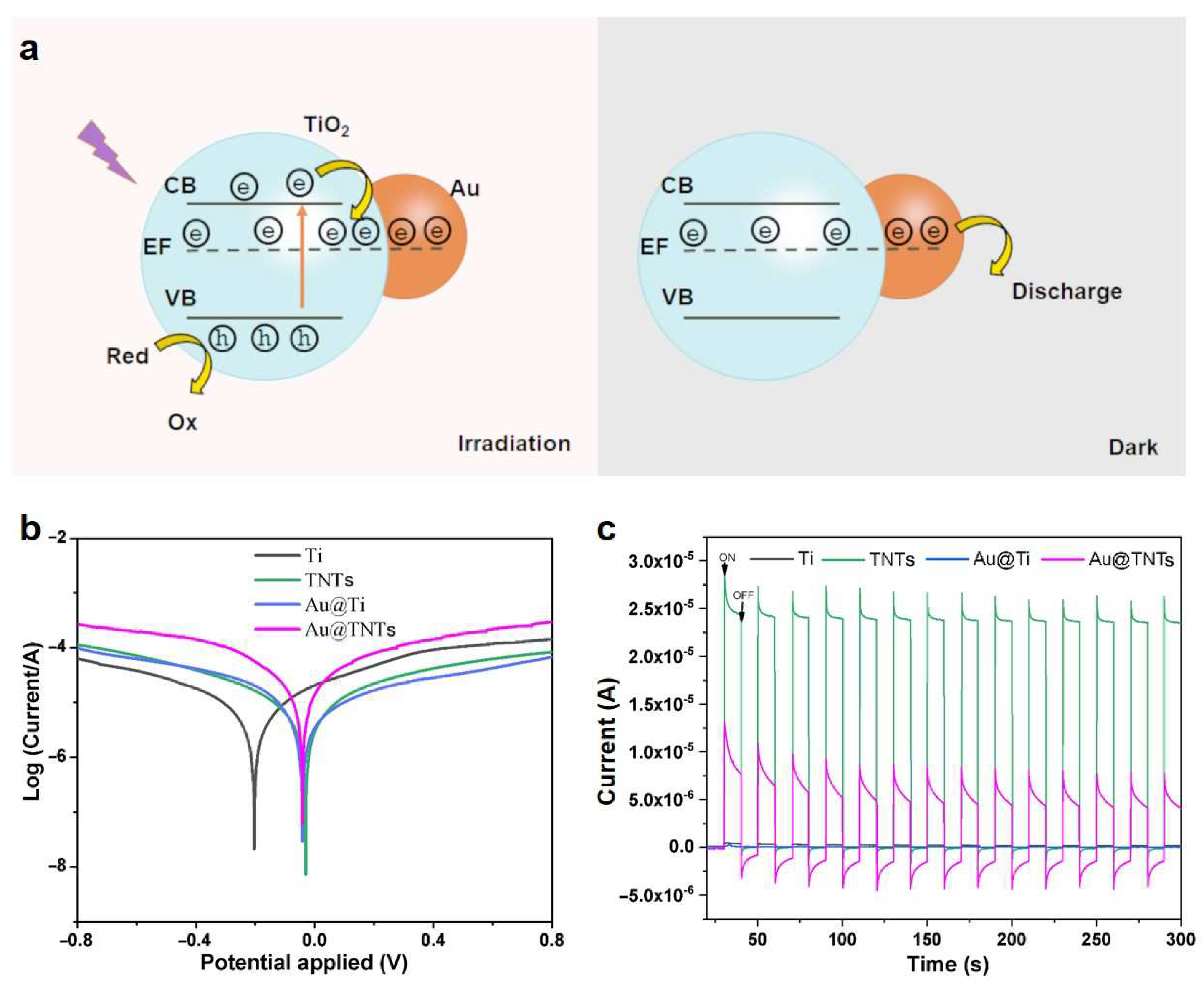 Coatings 12 01351 g005 Coatings 12 01351 g005