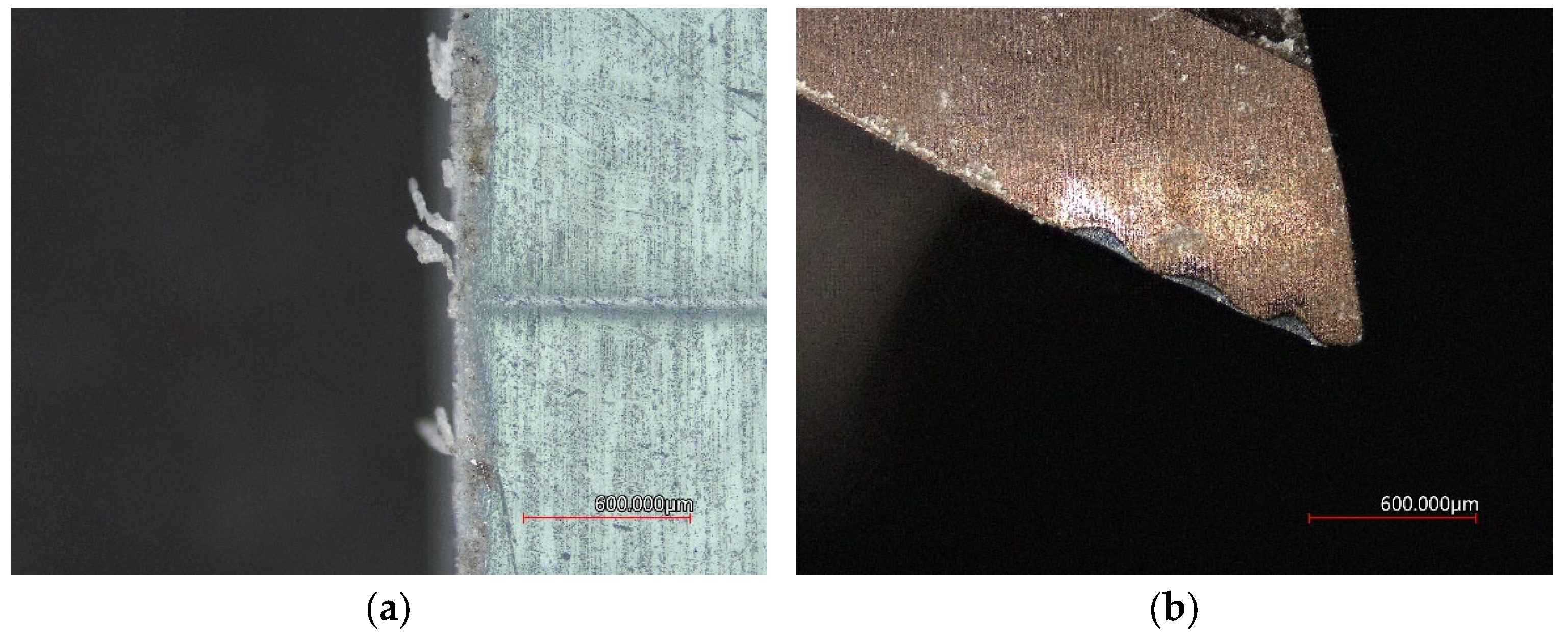 Coatings 12 01354 g006 550