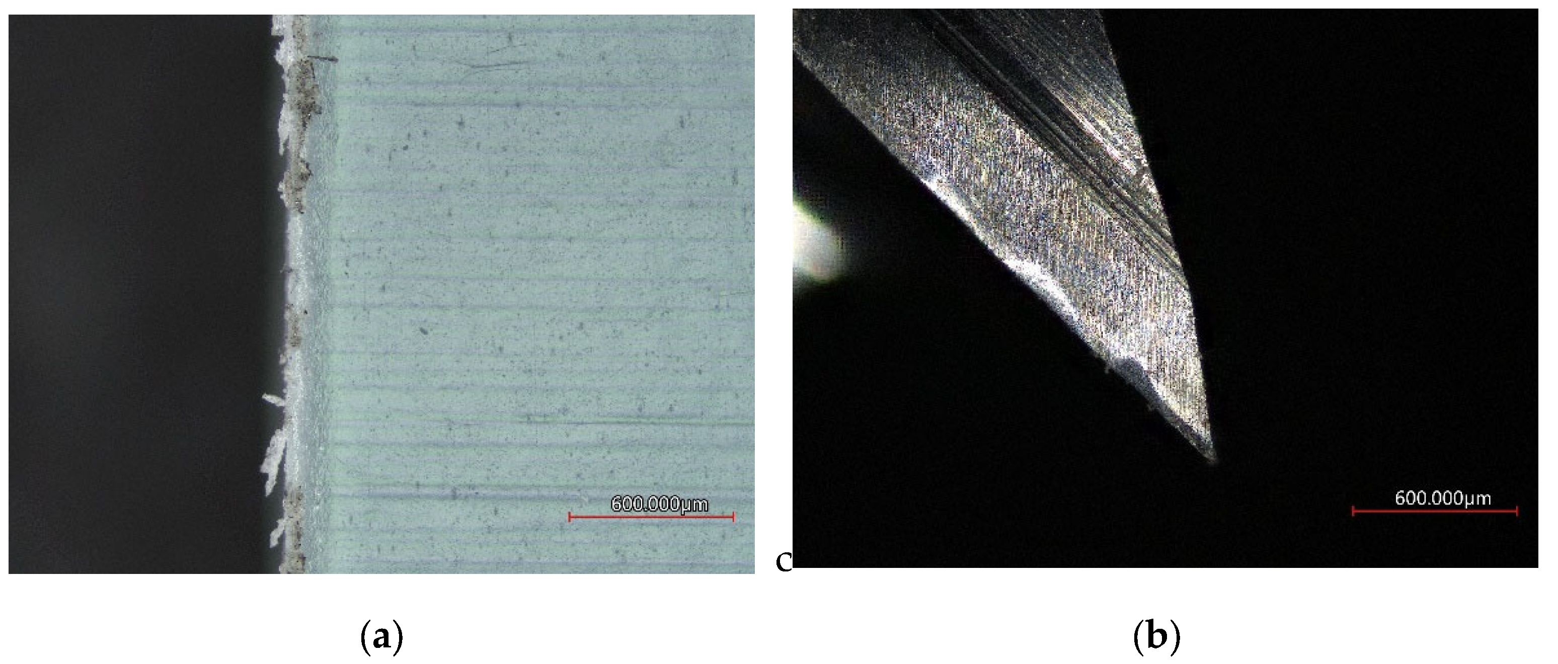 Coatings 12 01354 g008 550