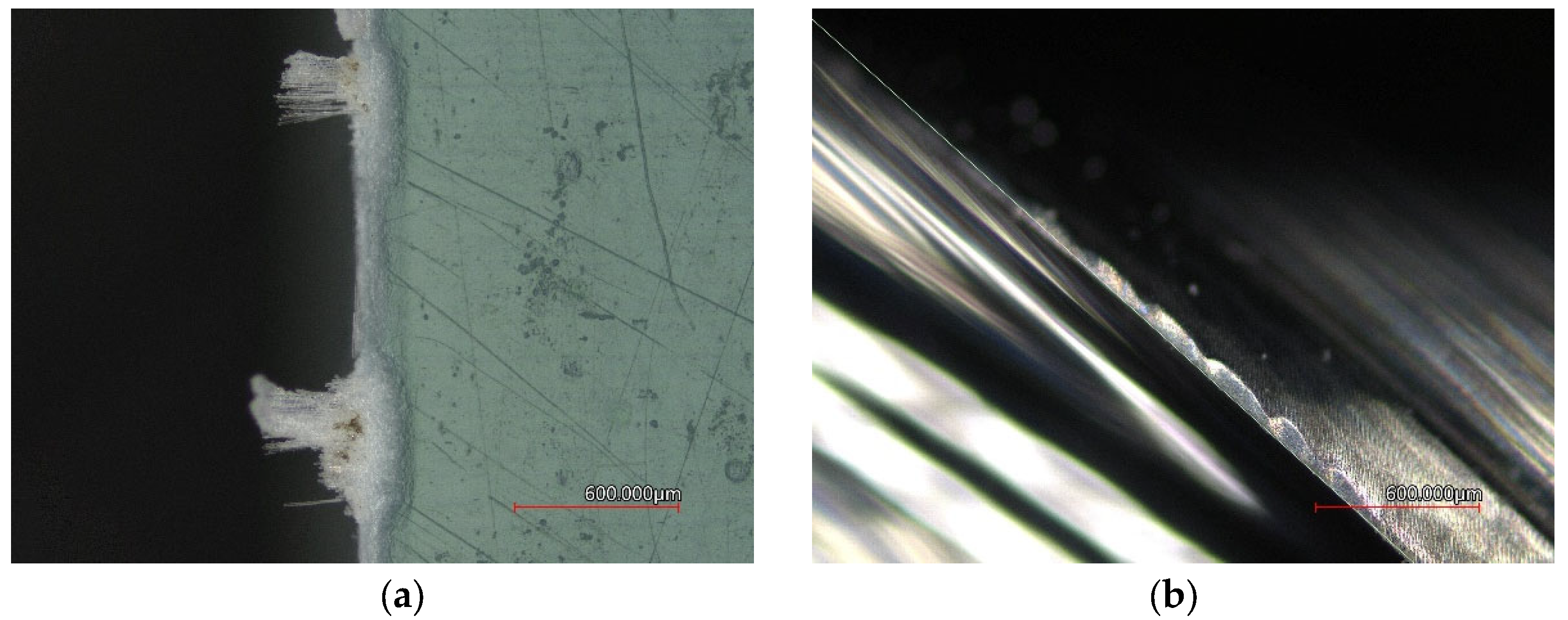 Coatings 12 01354 g009 550