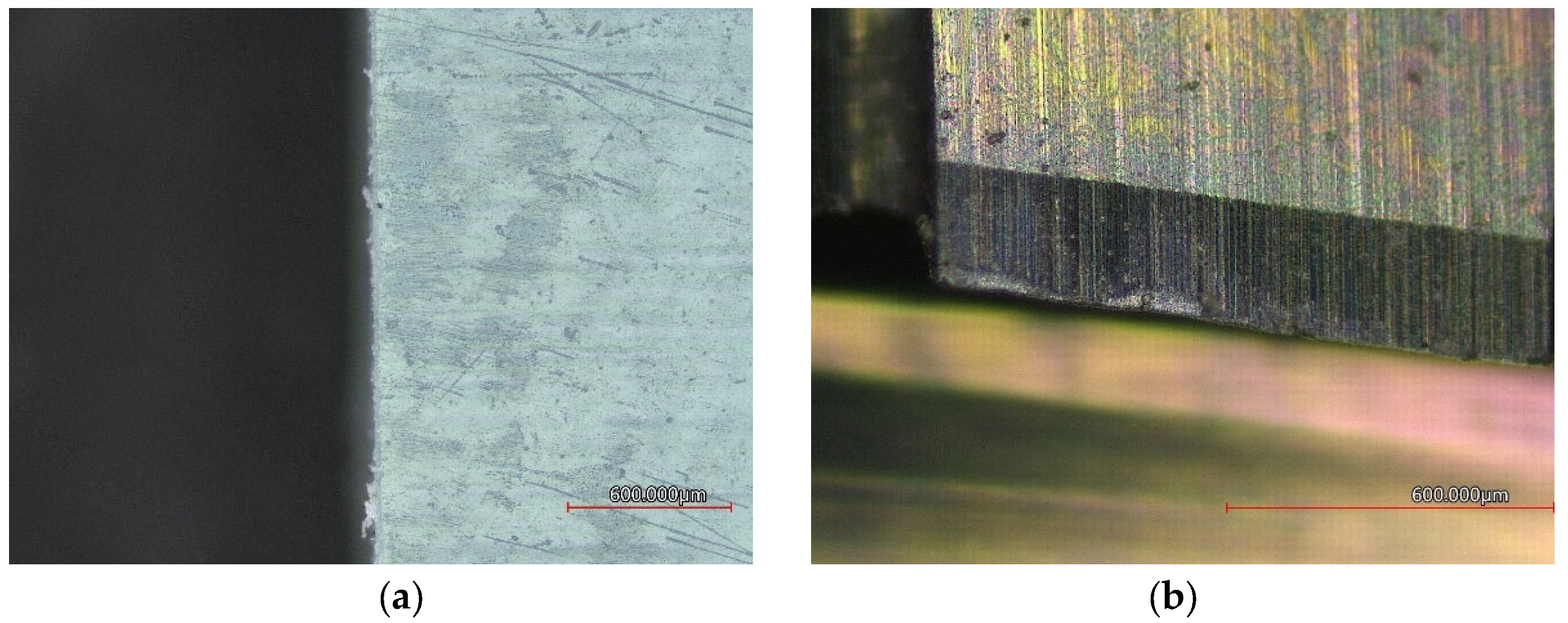 Coatings 12 01354 g010 550