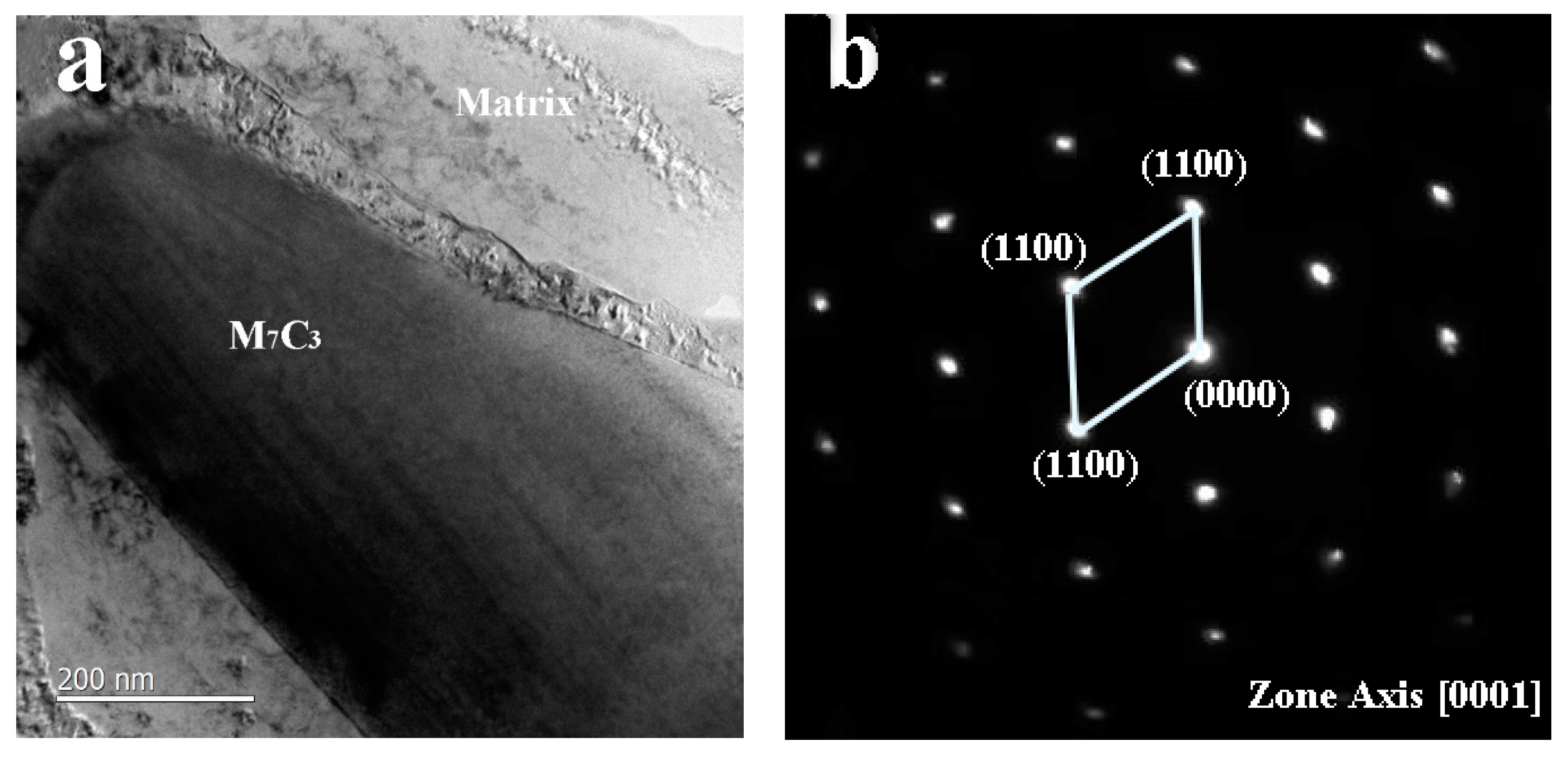 Coatings 12 01363 g008