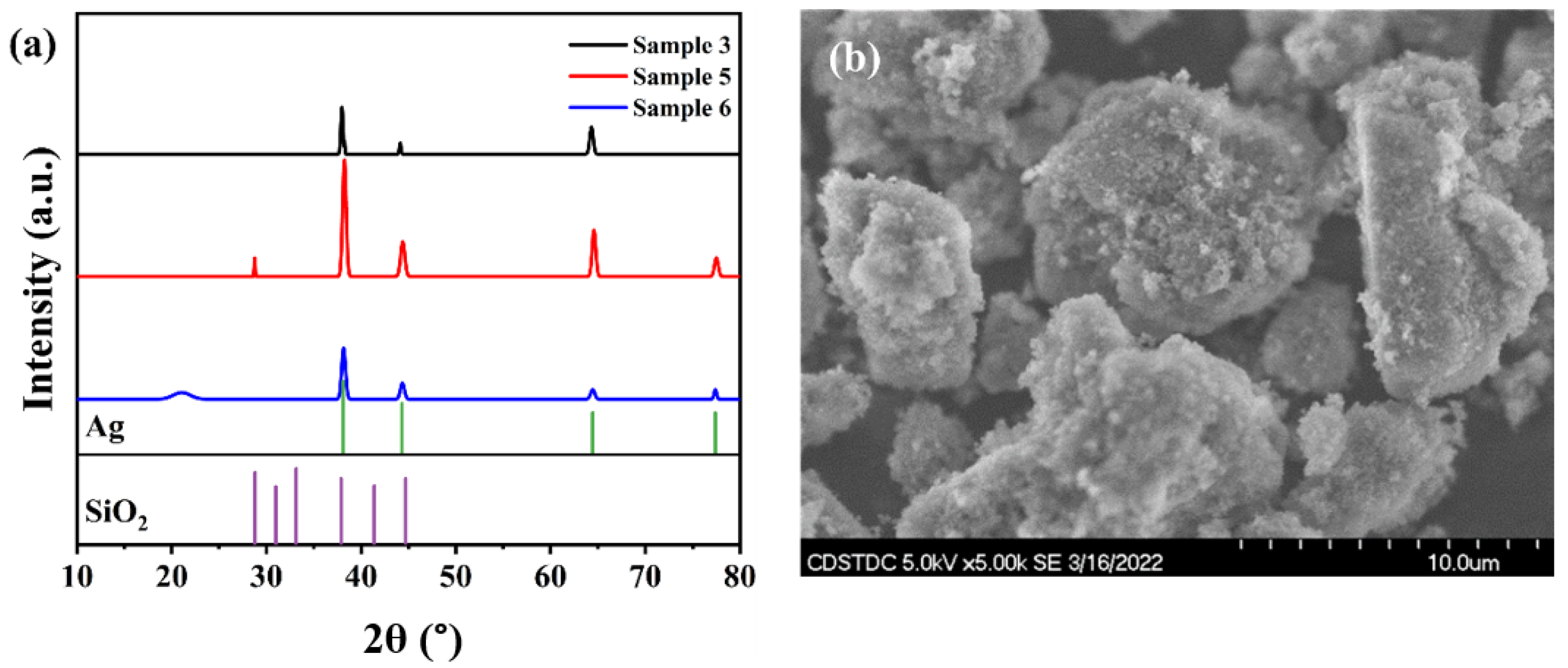 Coatings 12 01368 g002 550
