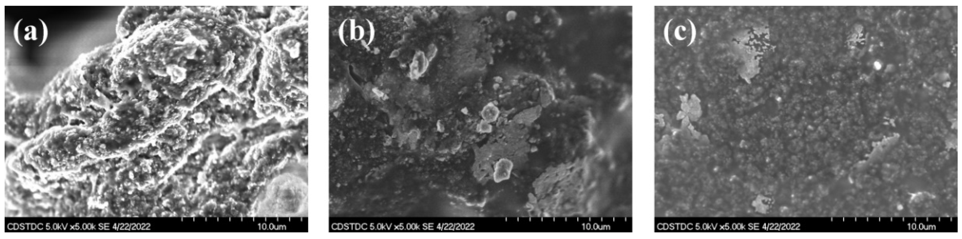 Coatings 12 01368 g003 550