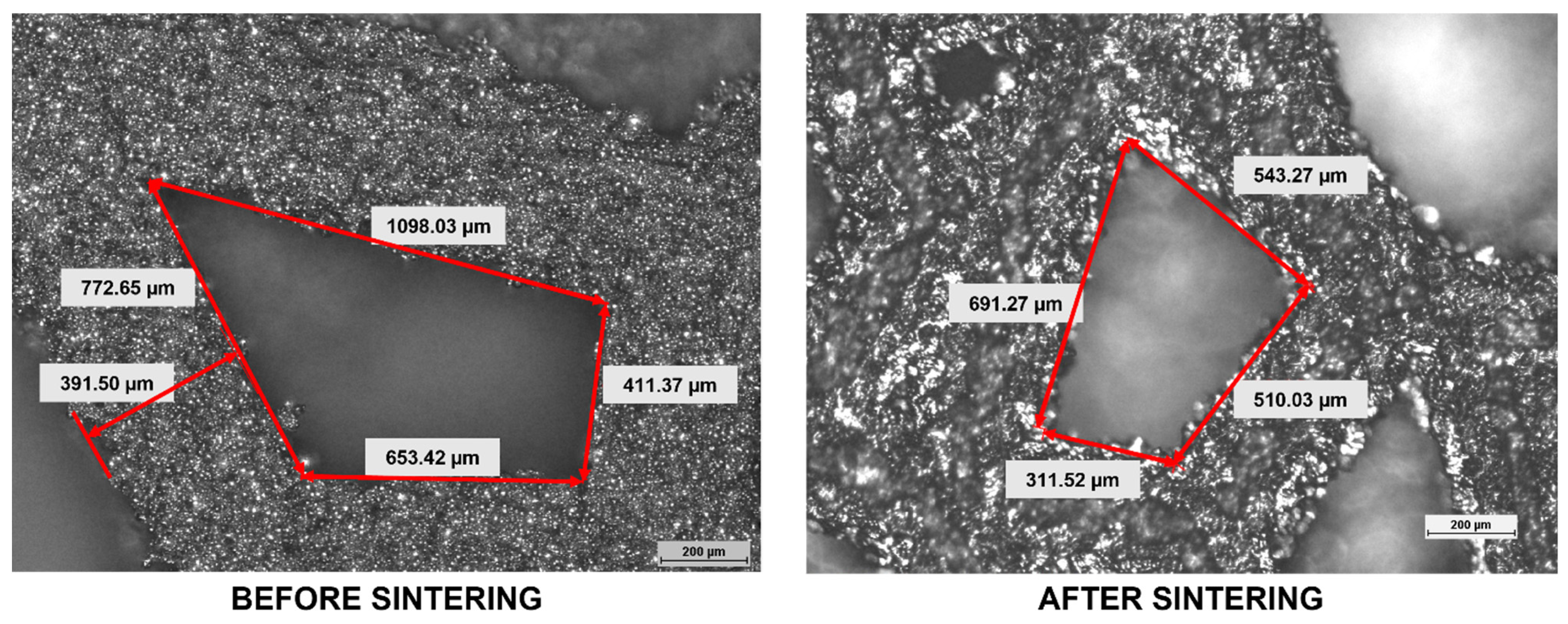 Coatings 12 01373 g007 Coatings 12 01373 g007