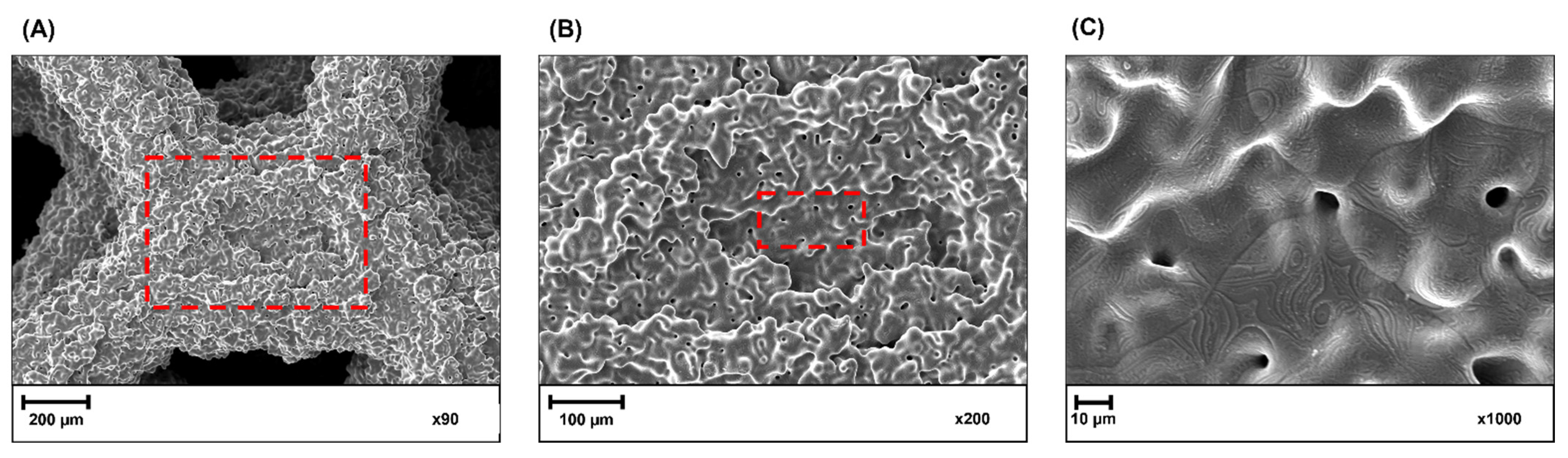 Coatings 12 01373 g009 Coatings 12 01373 g009