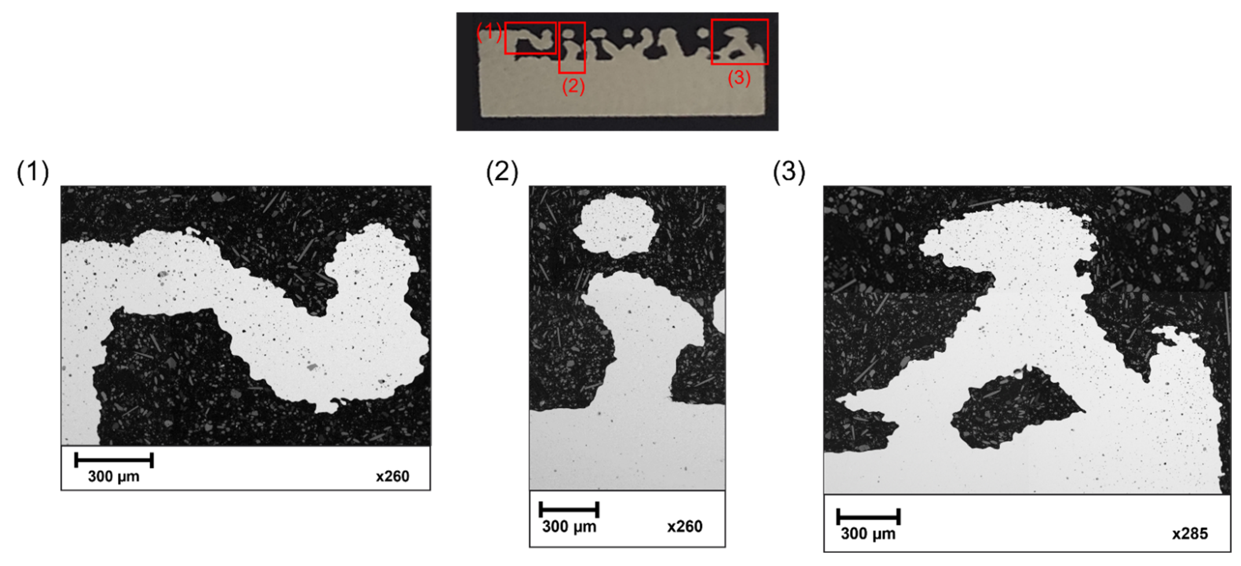 Coatings 12 01373 g010 Coatings 12 01373 g010