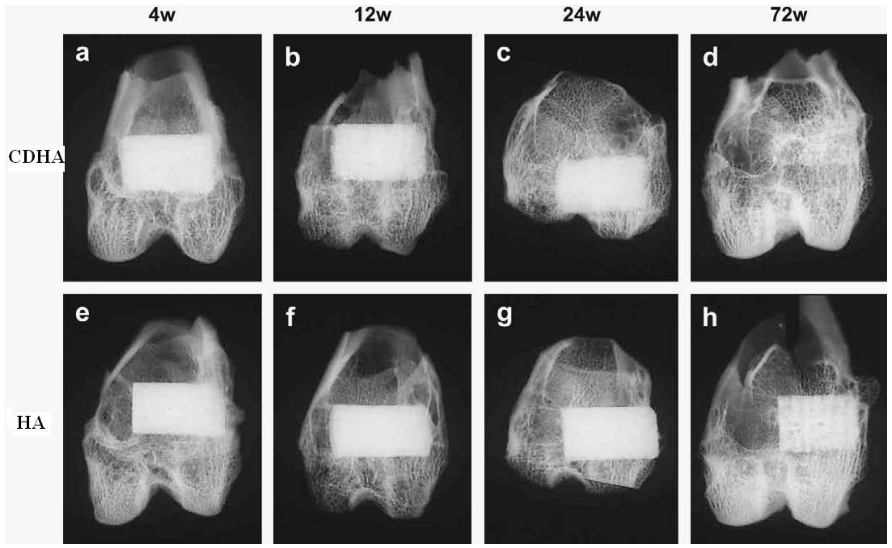 Coatings 12 01380 g002