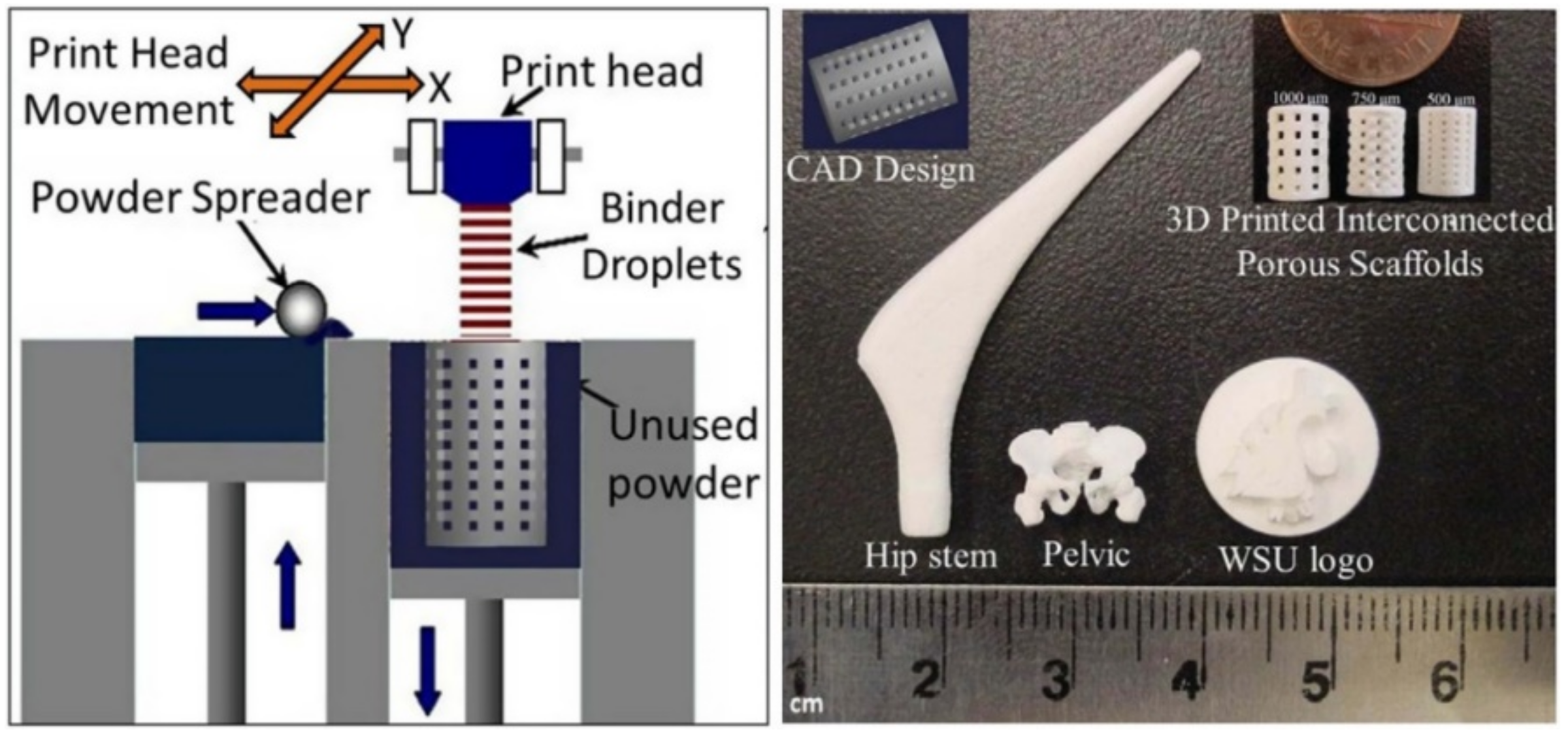 Coatings 12 01380 g003