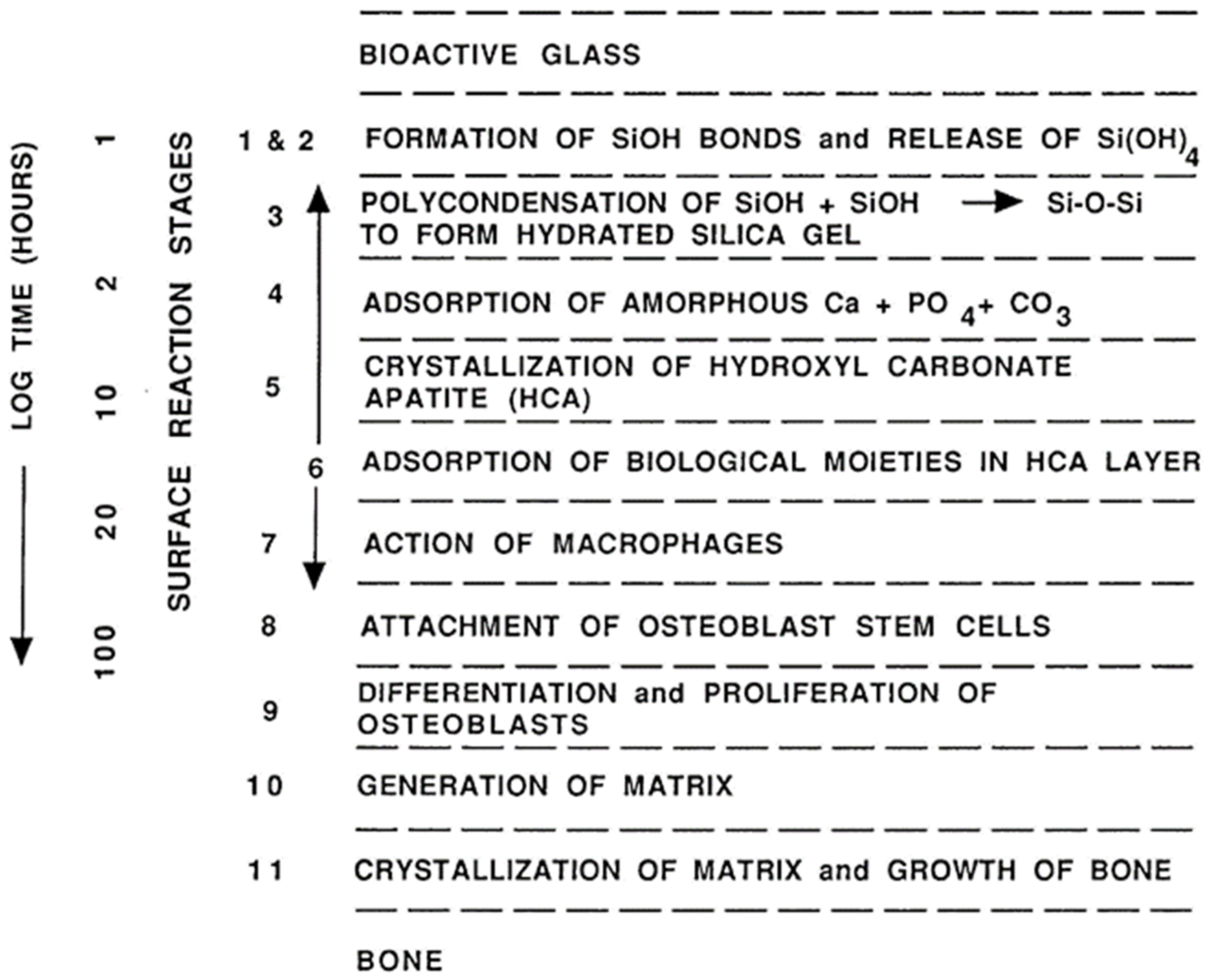 Coatings 12 01380 g012