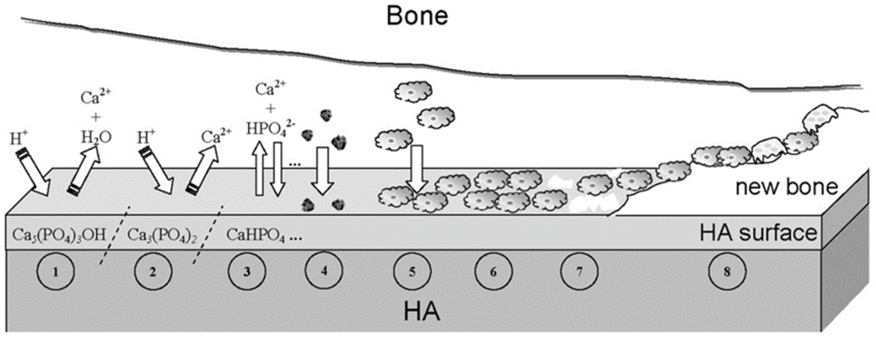 Coatings 12 01380 g014