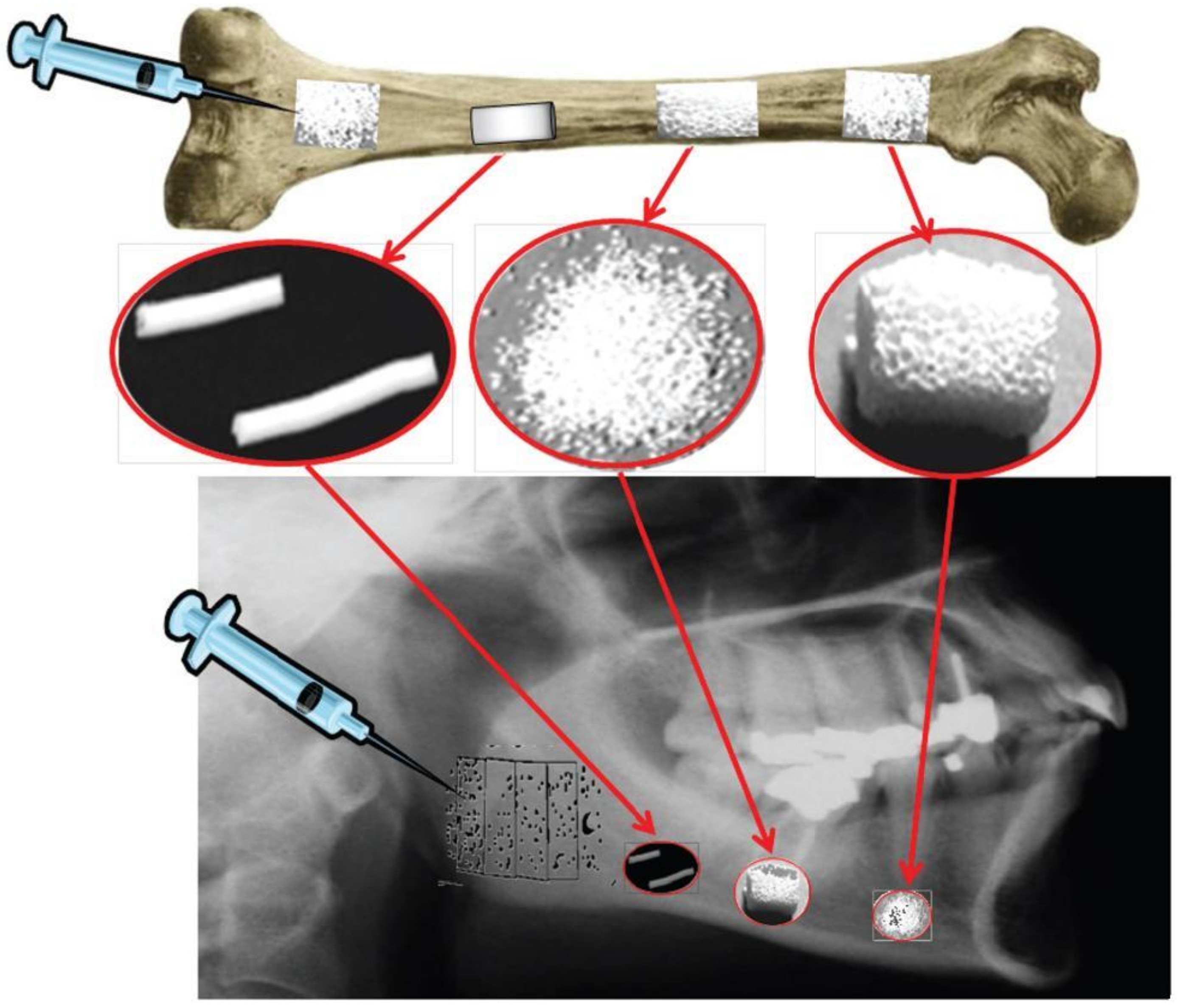 Coatings 12 01380 g015