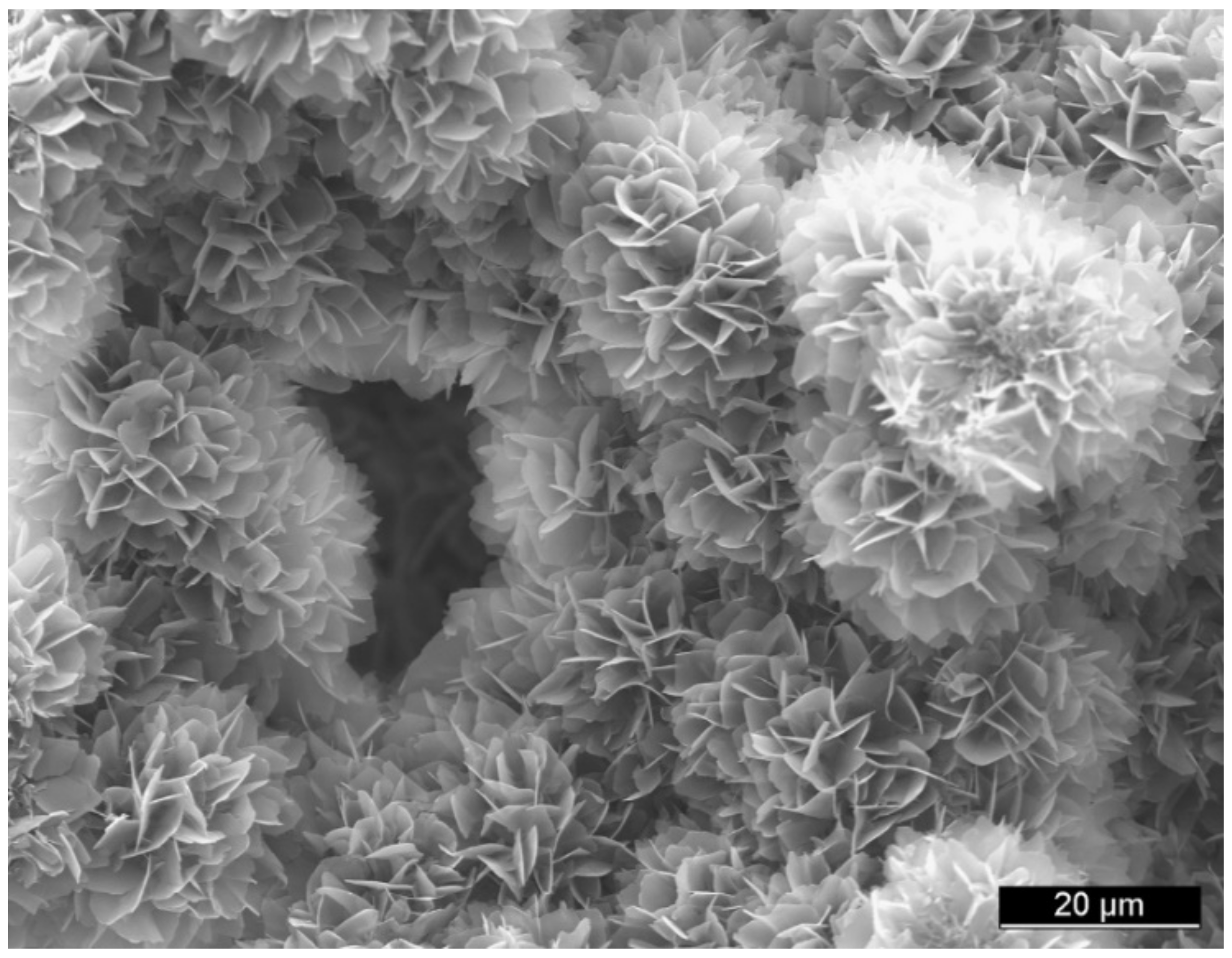 Coatings 12 01380 g016