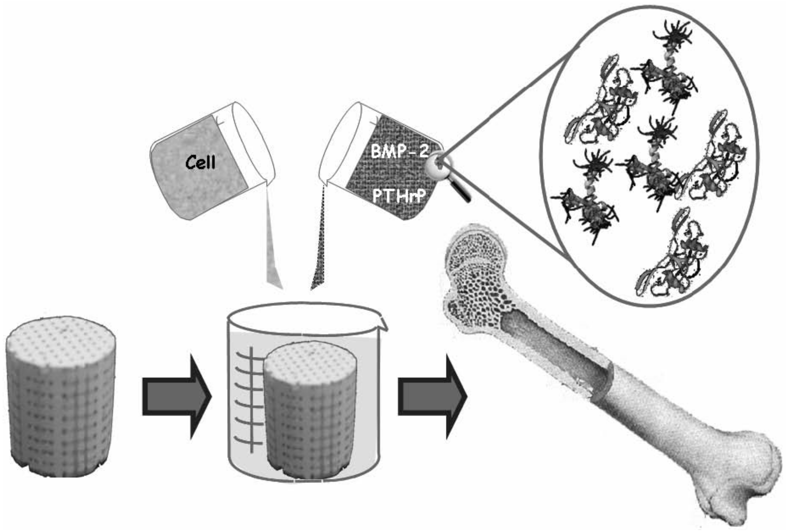 Coatings 12 01380 g021