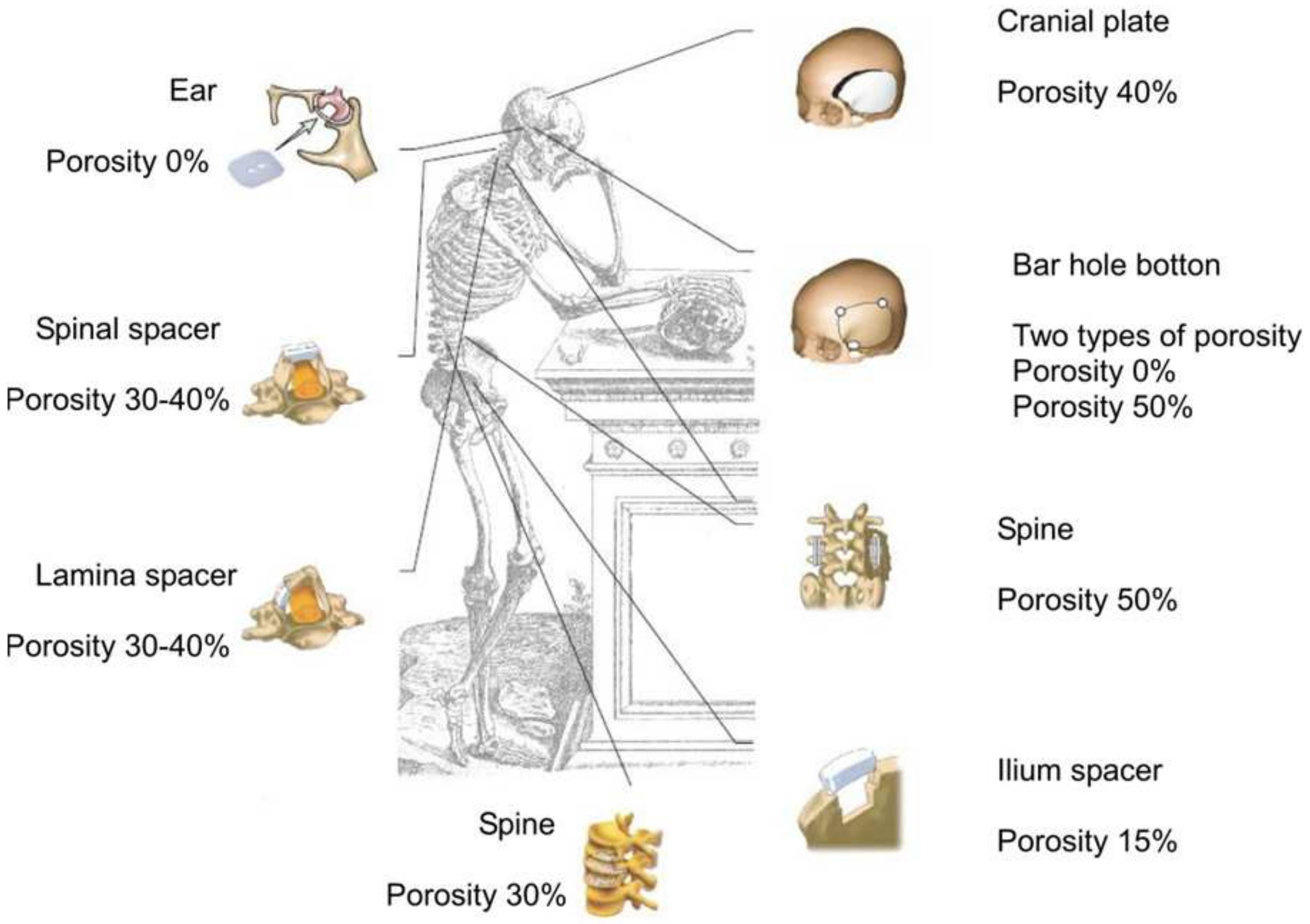 Coatings 12 01380 g022