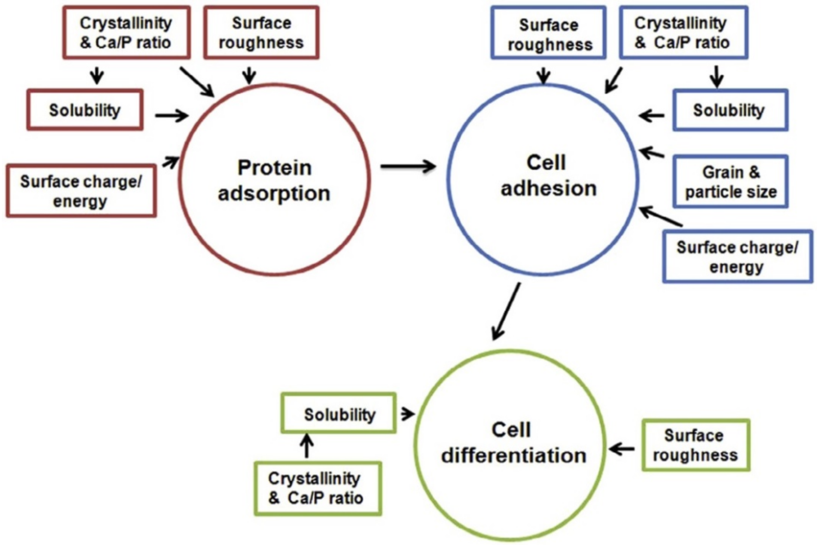 Coatings 12 01380 g023