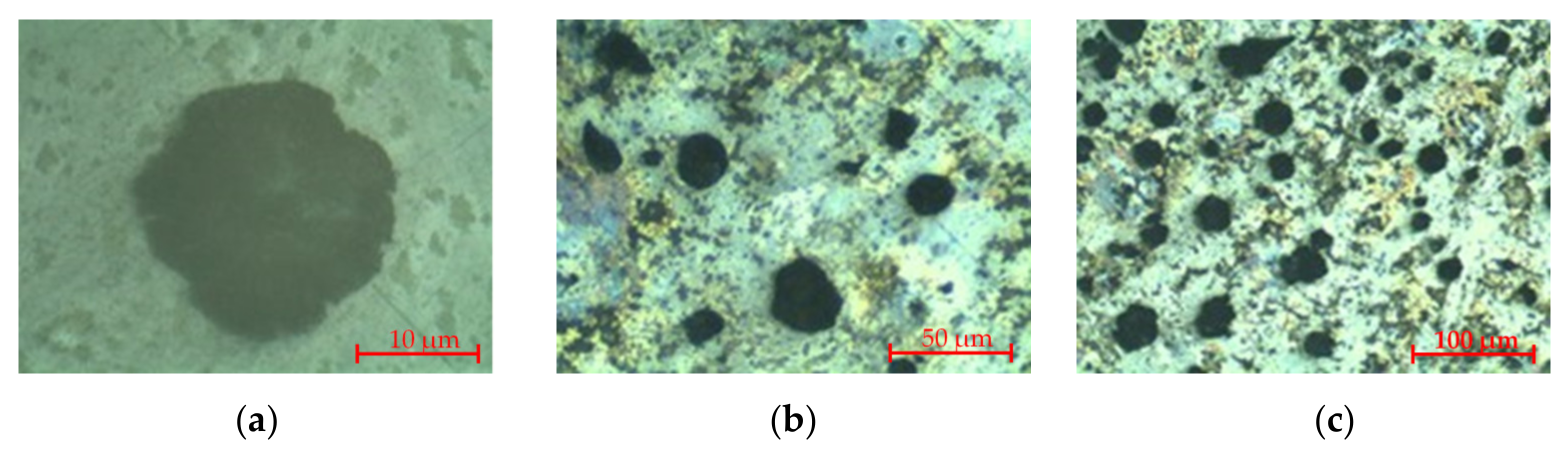 Coatings 12 01384 g002