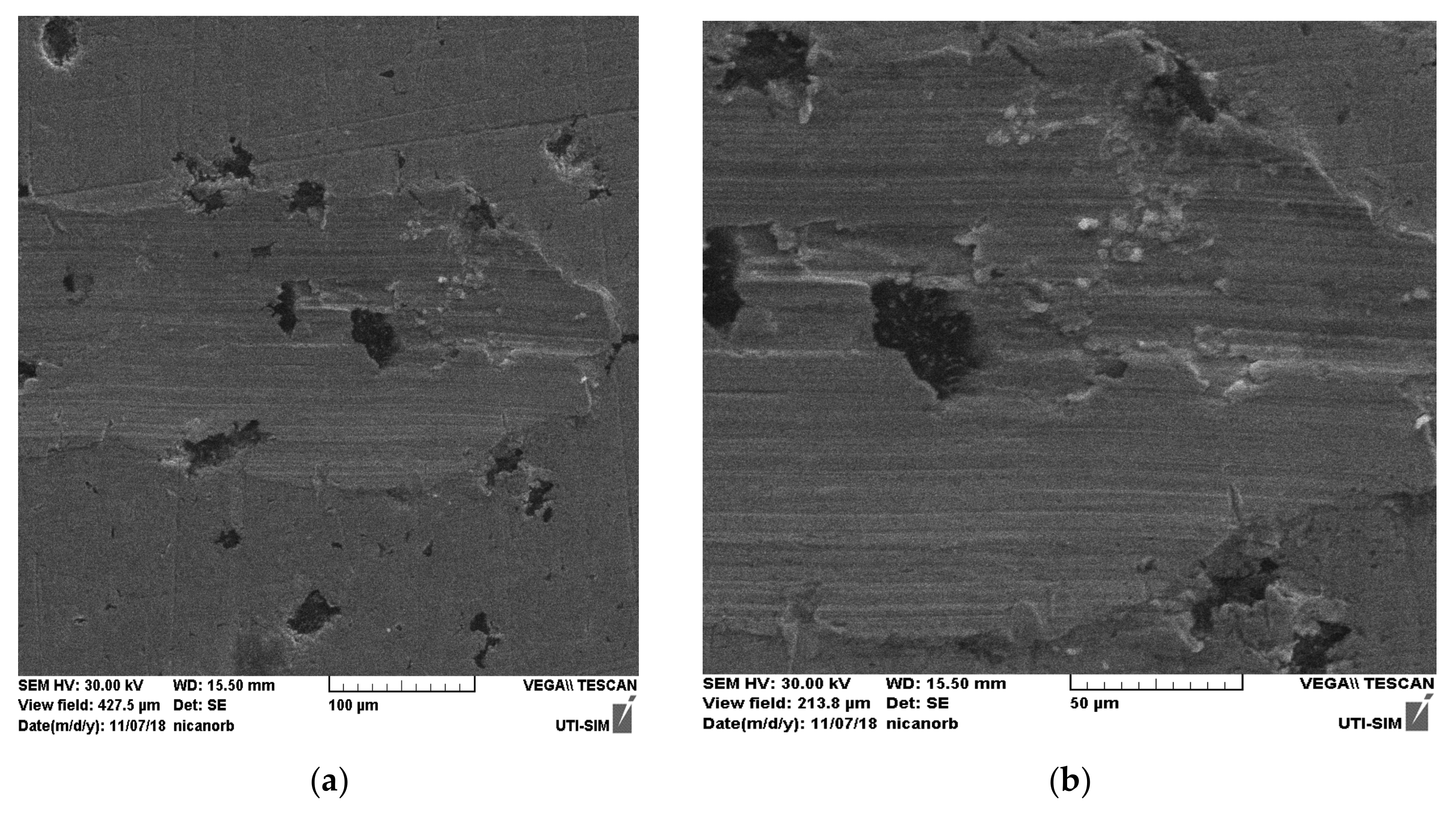 Coatings 12 01384 g011