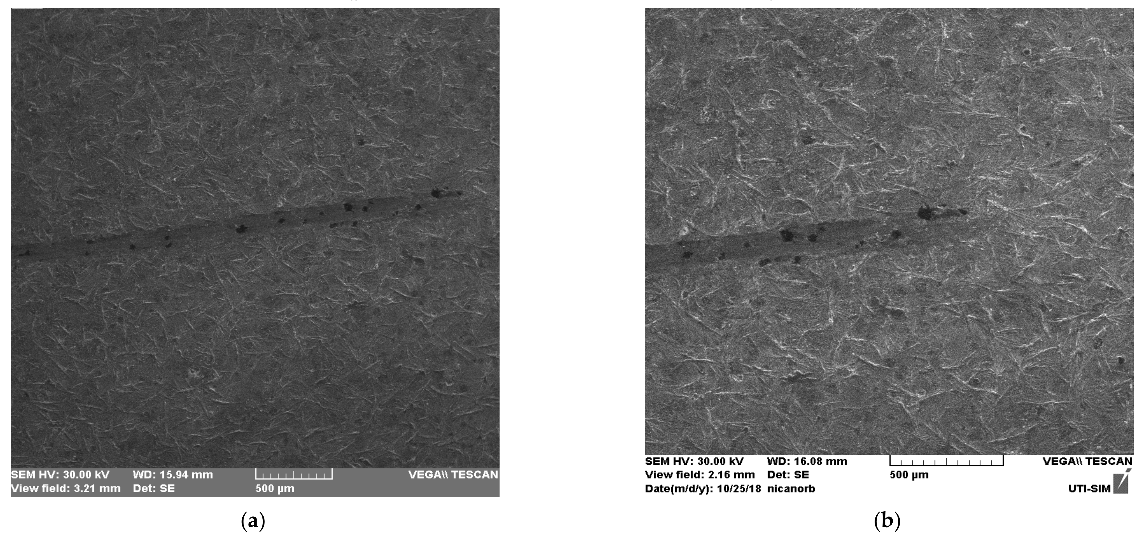Coatings 12 01384 g015a
