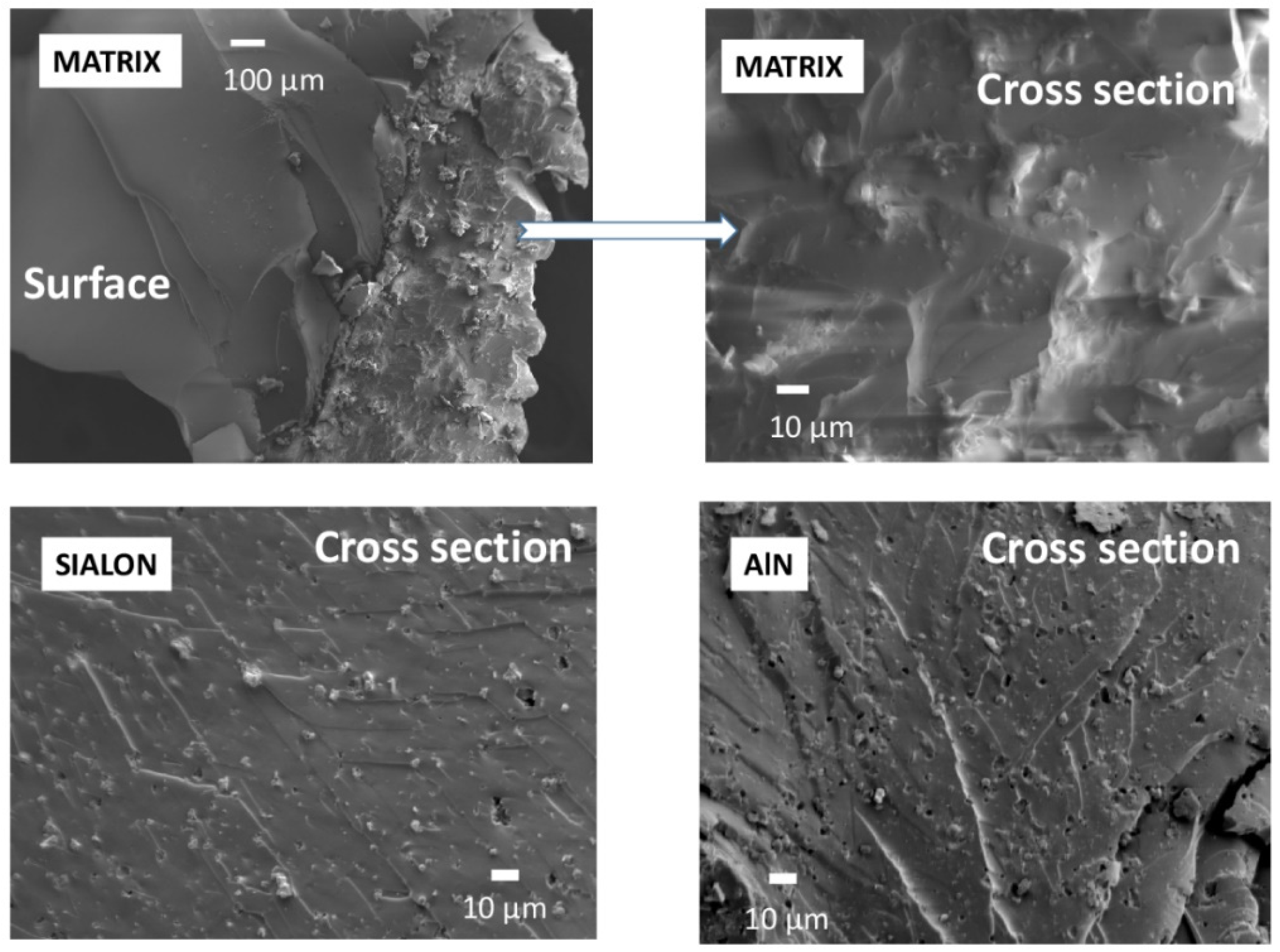 Coatings 12 01389 g007